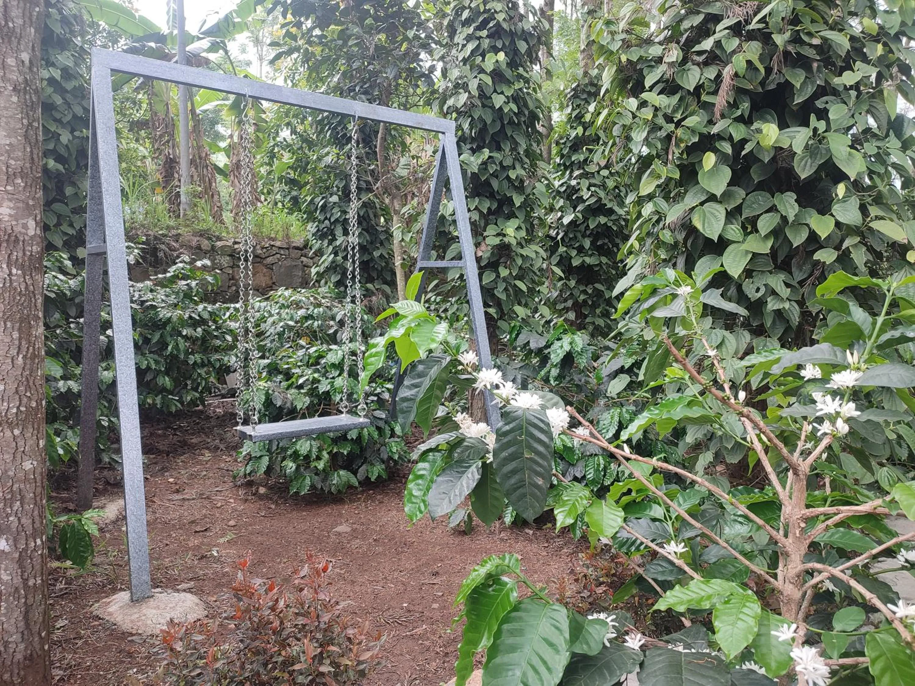 Spring in Cholai Resorts & Hotels