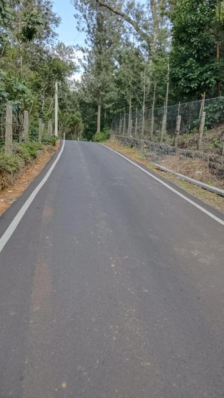 Area and facilities in Cholai Resorts & Hotels