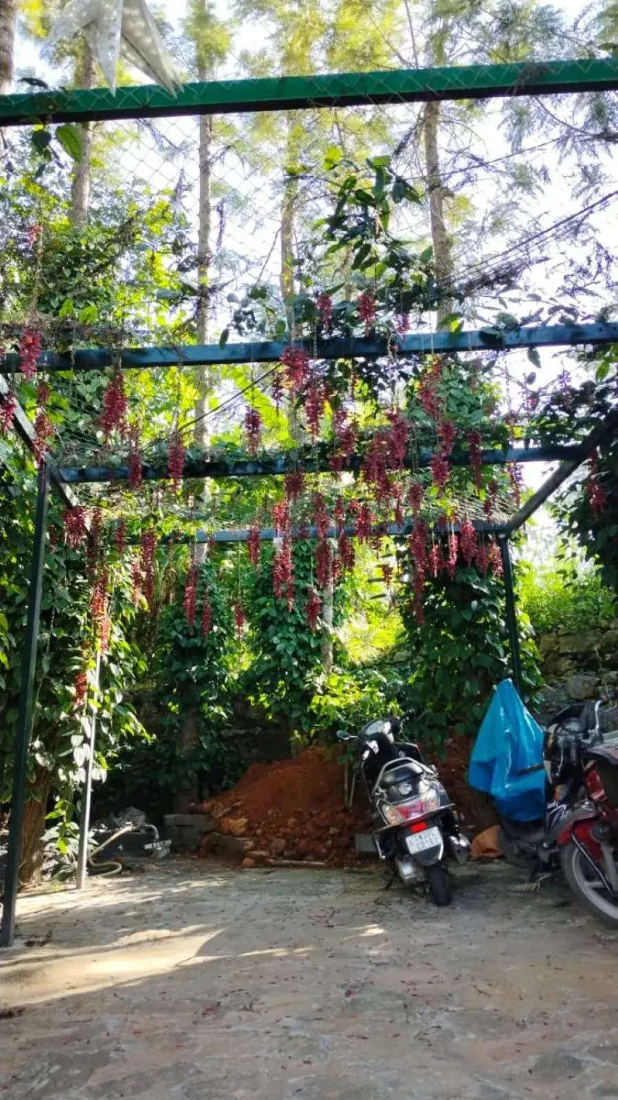 Facade/entrance in Cholai Resorts & Hotels Facade/entrance in Cholai Resorts & Hotels