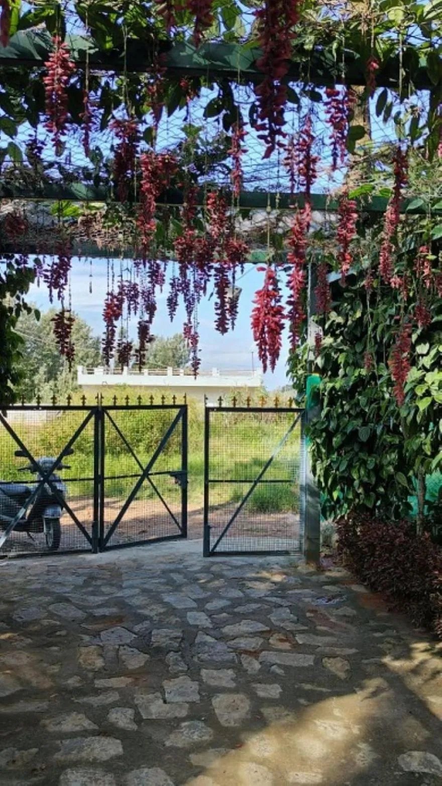 Property building in Cholai Resorts & Hotels