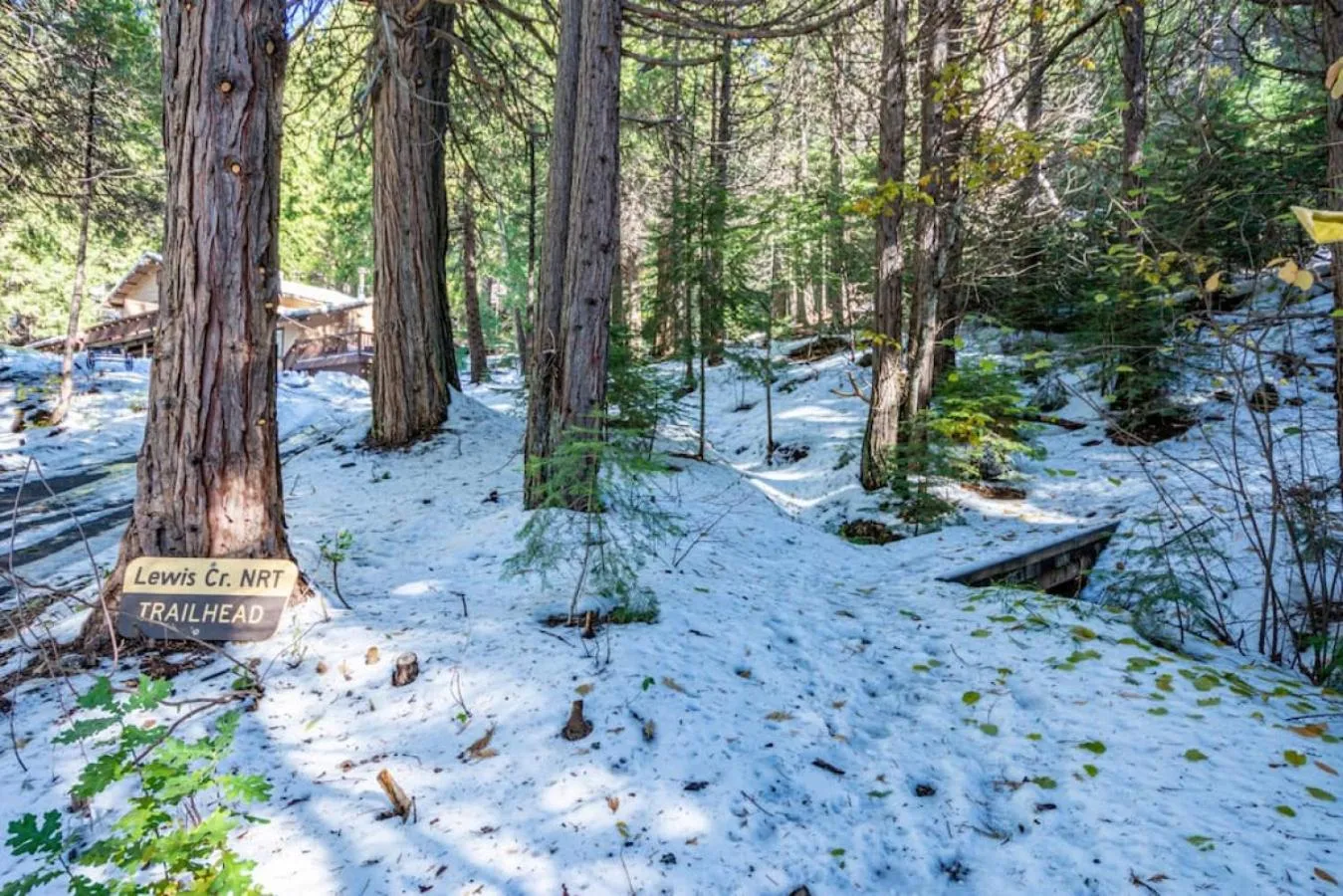 Corlieu Falls Cabin in Sugar Pine 8 miles from Yosemite with Gazebo, Hot tub a shack and Bar top