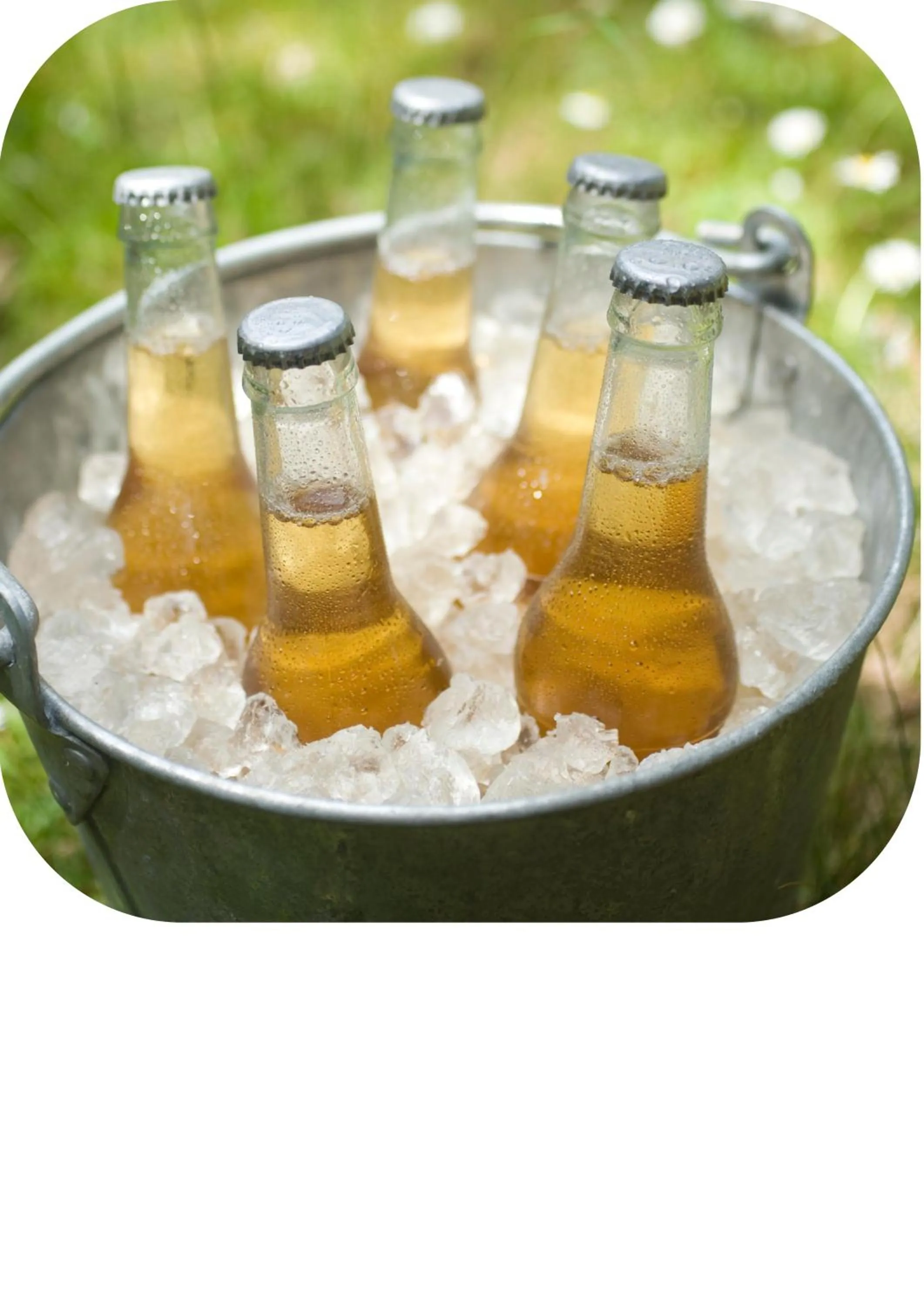 Restaurant/places to eat in Far Life Hotel