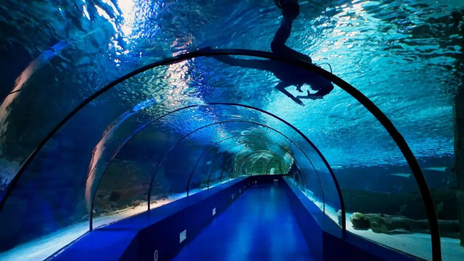 Entertainment in Far Life Hotel