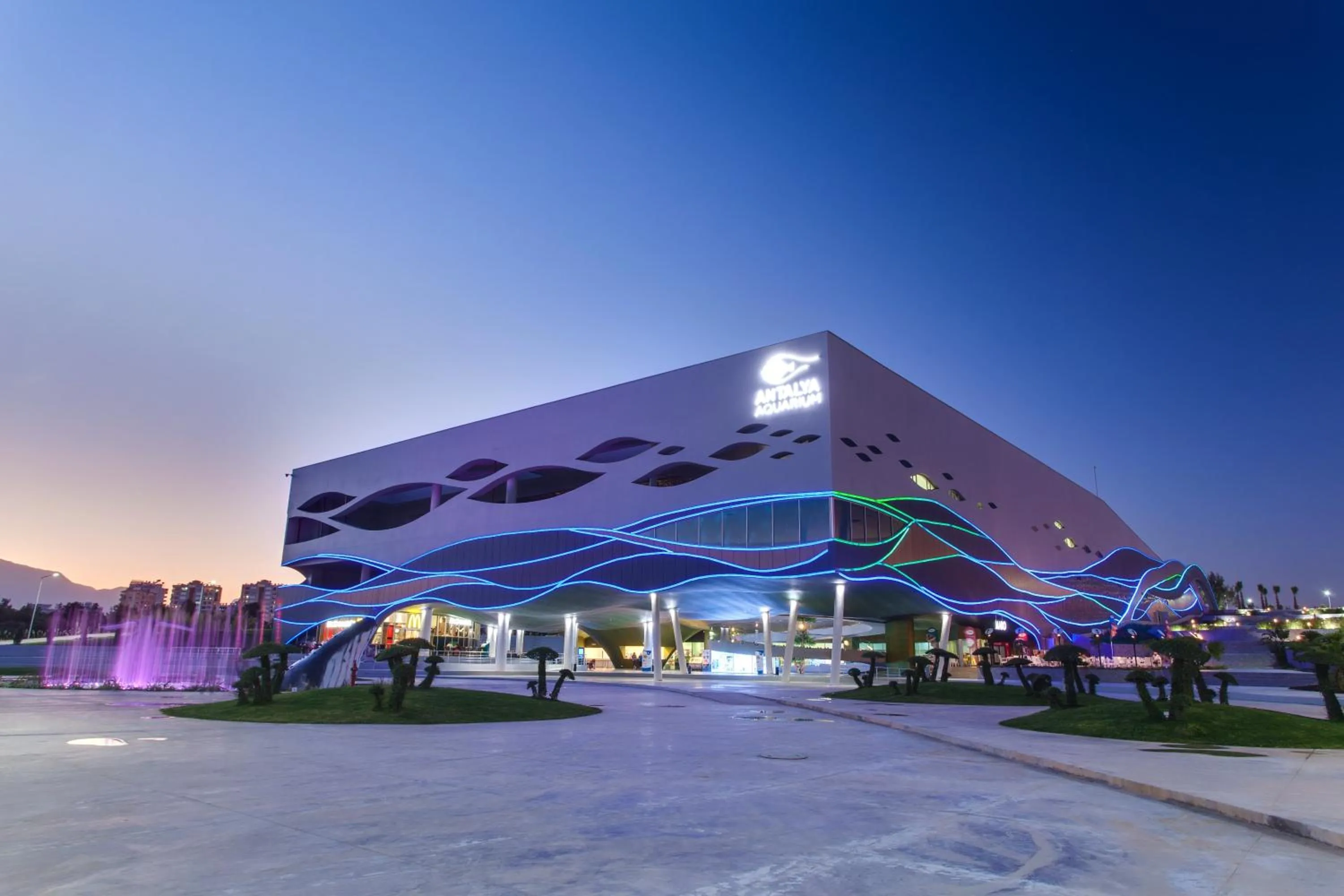 Entertainment in Far Life Hotel