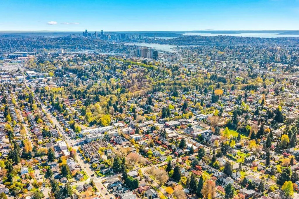 Lilac In Law, Picturesque lower unit