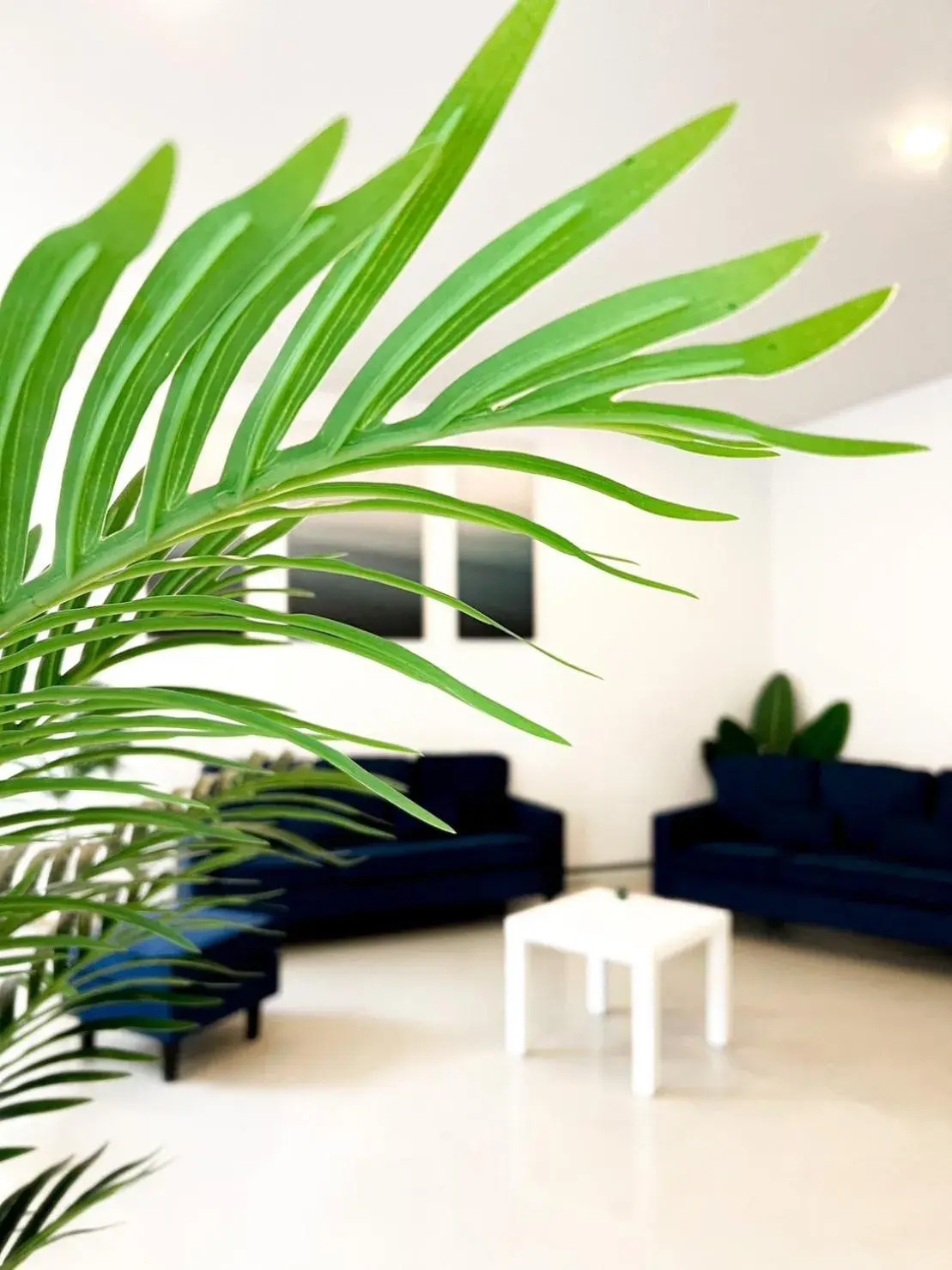 Living room in BAOBAB Living room in BAOBAB