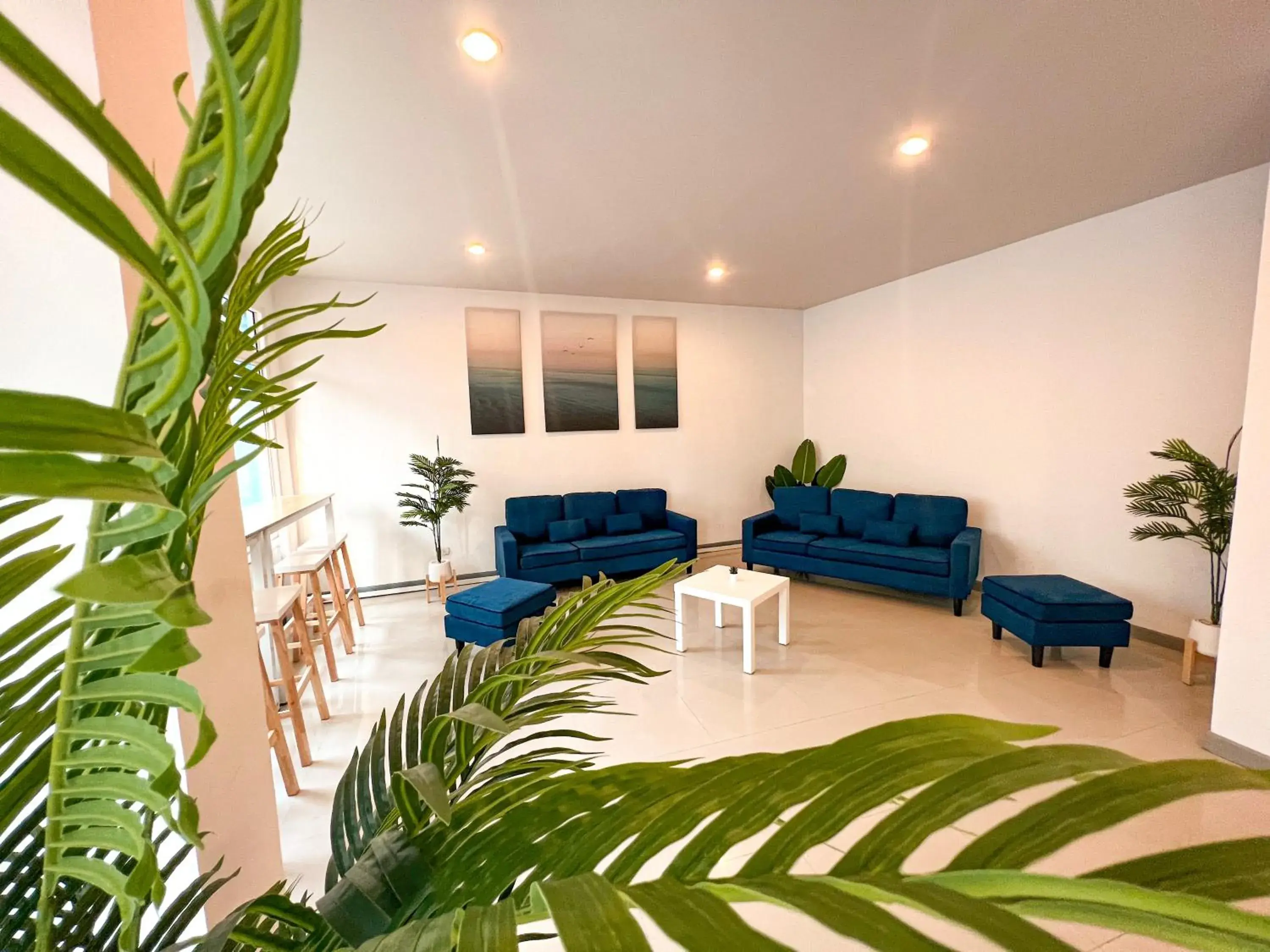 Lobby or reception in BAOBAB Lobby or reception in BAOBAB