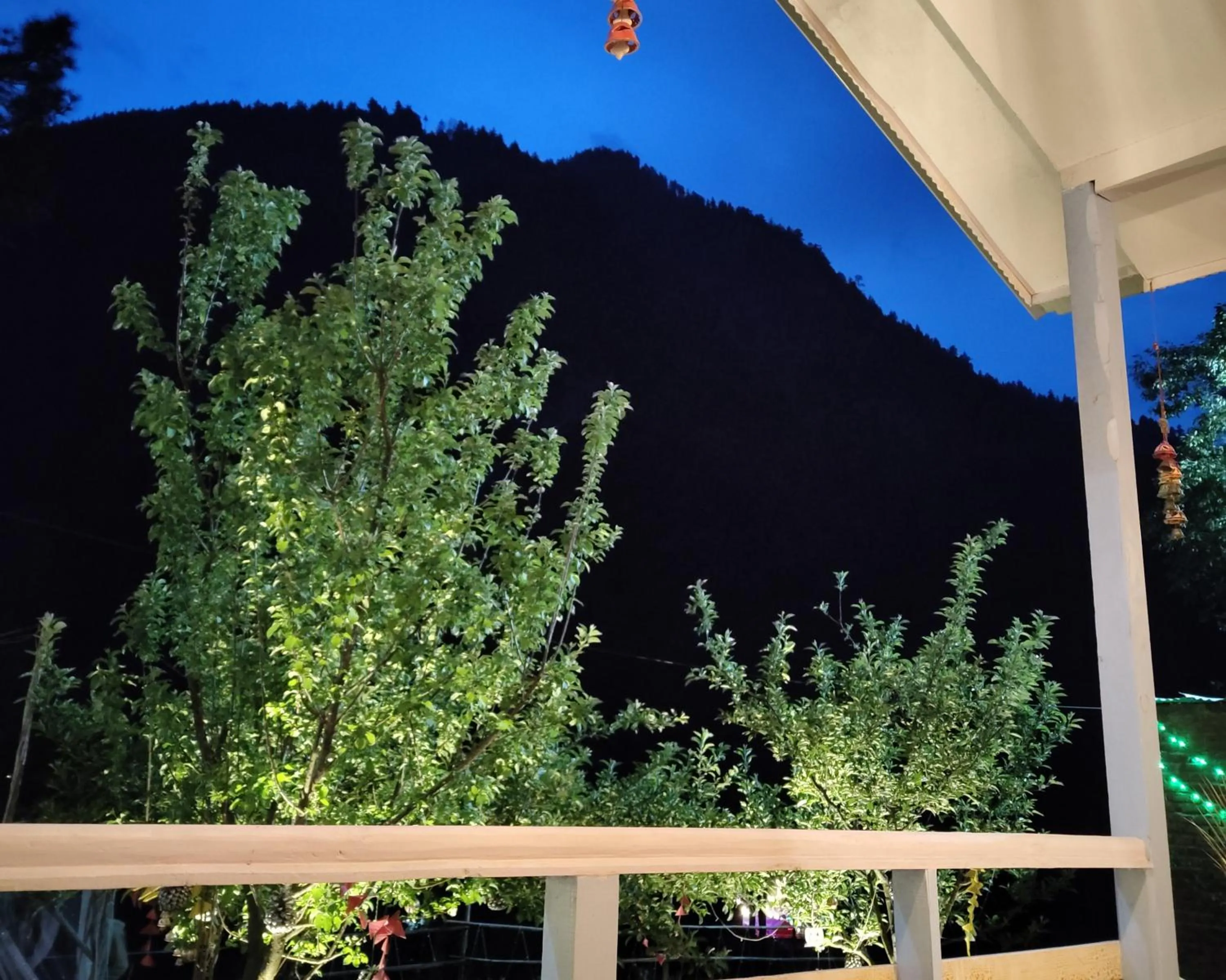 Night in The Stream Kasol