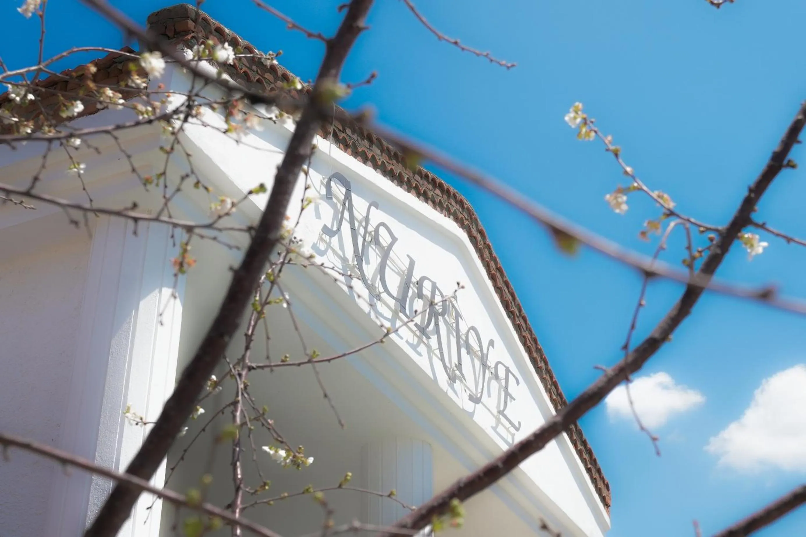 Day in NURİYE ALACATI