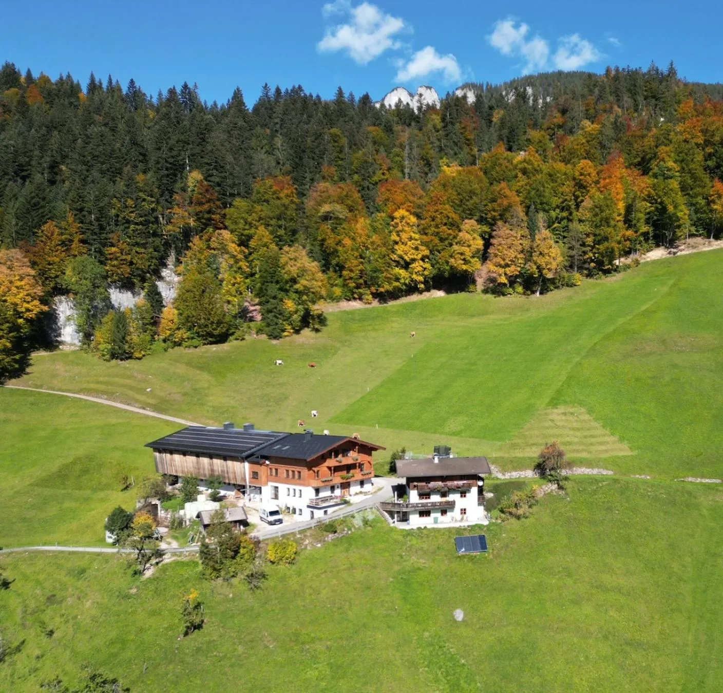 Property building in Biobauernhof Schneiderbauer