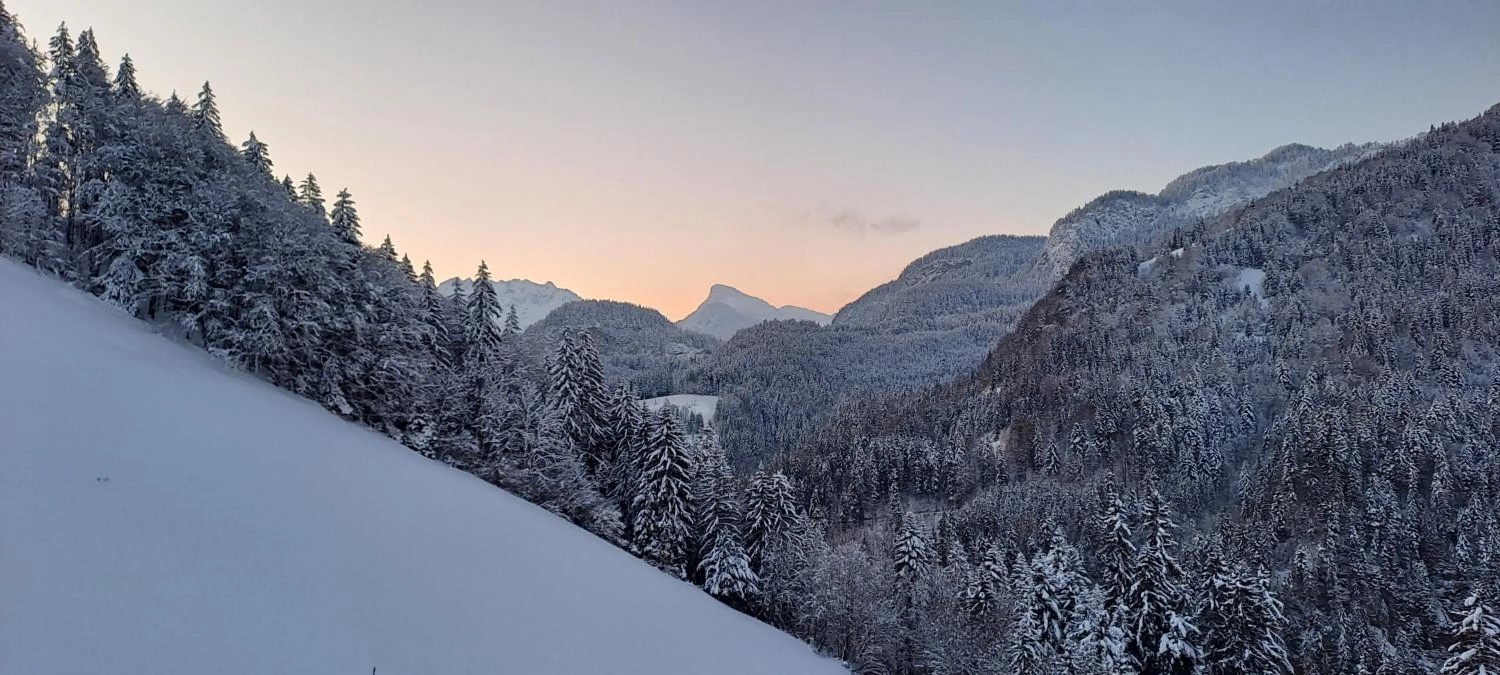 Winter in Biobauernhof Schneiderbauer