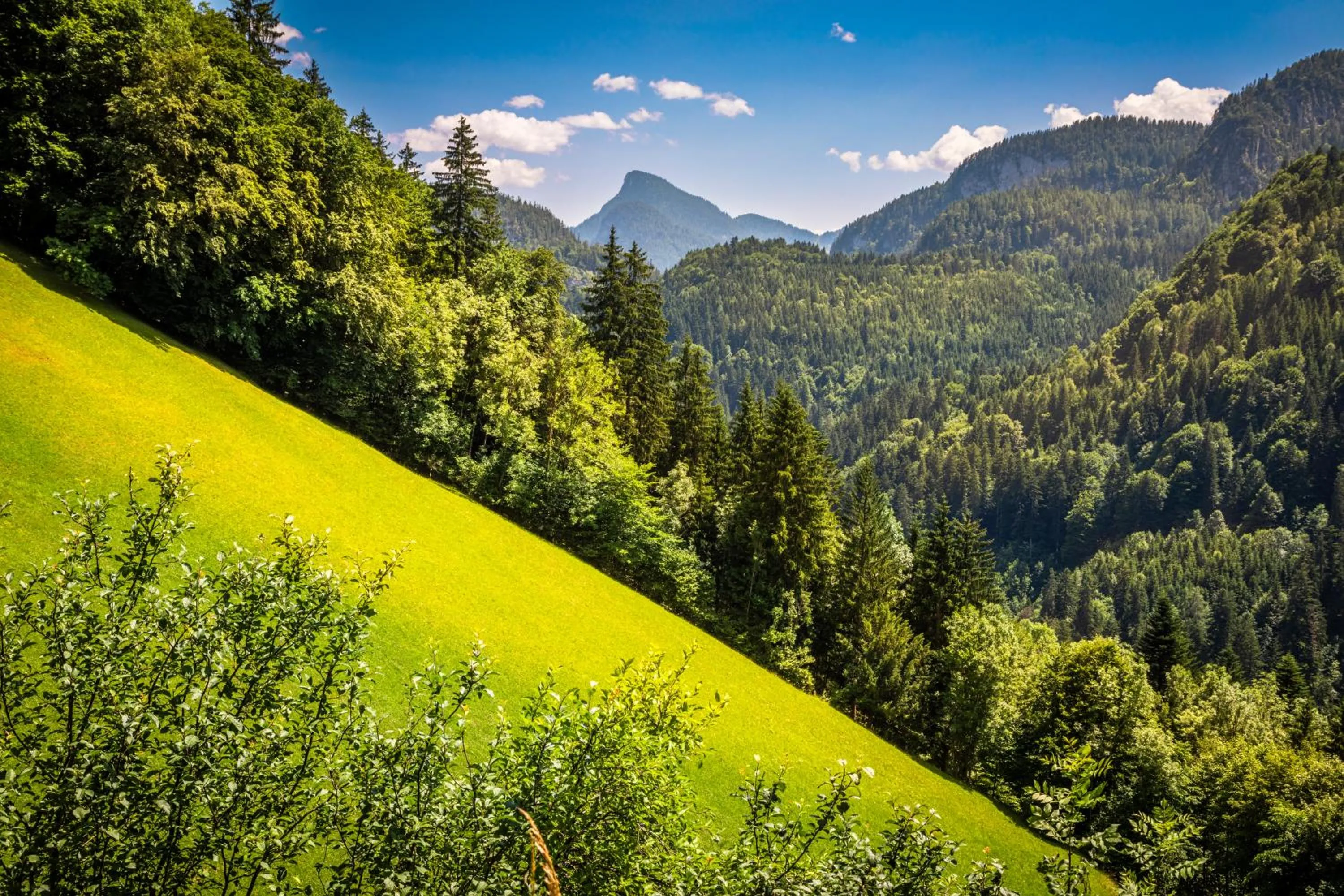 Natural landscape in Biobauernhof Schneiderbauer