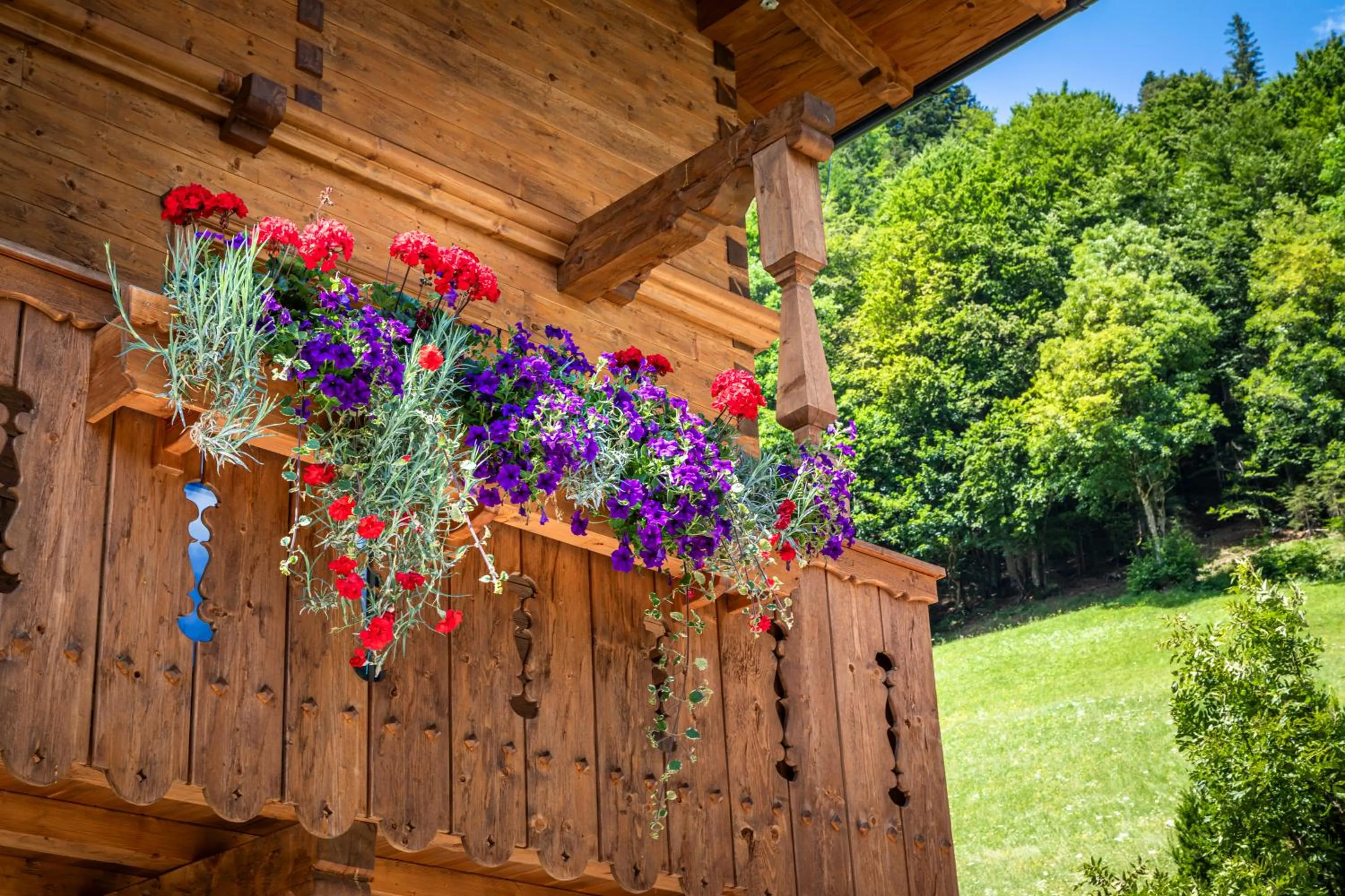 Balcony/Terrace in Biobauernhof Schneiderbauer