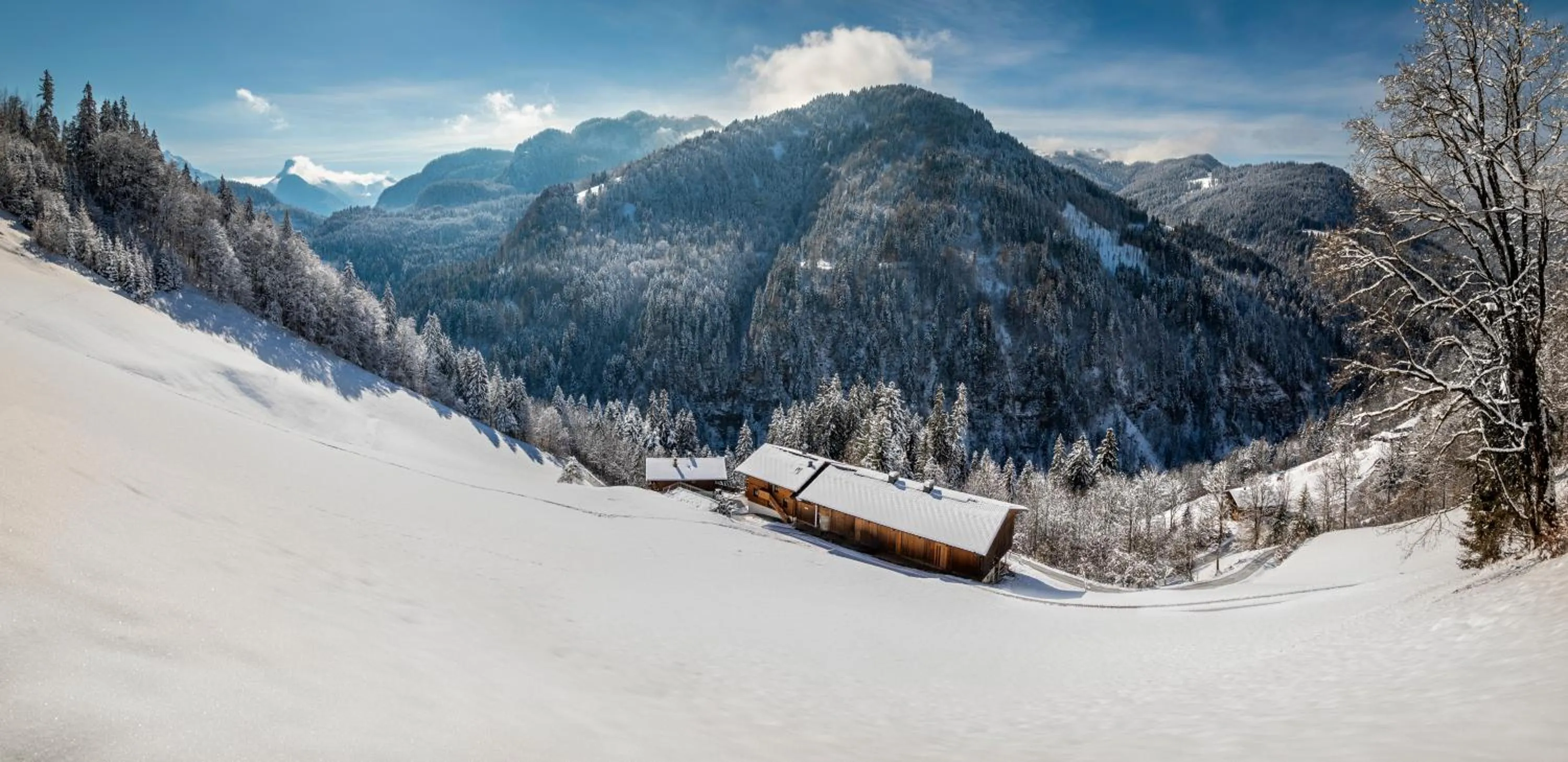 Winter in Biobauernhof Schneiderbauer