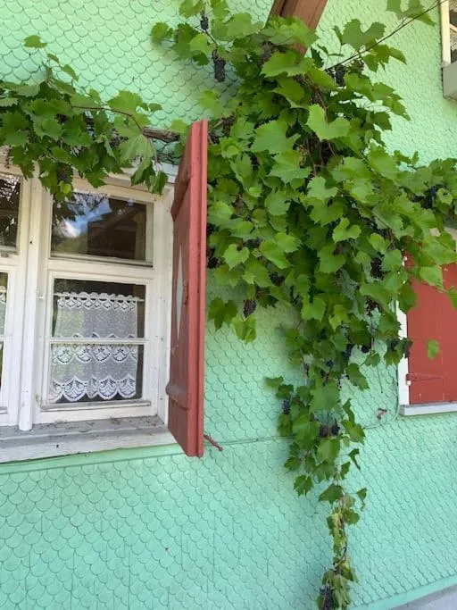 Allgäu Cottage - traumhafter Blick in die Schweizer Berge
