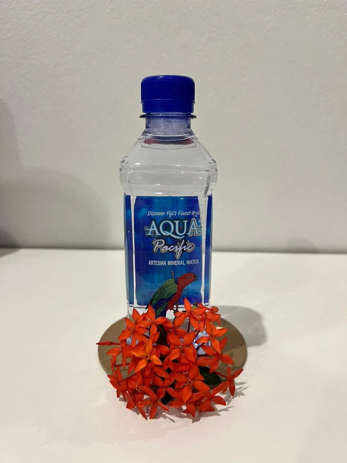 Decorative detail in Garden Apartments