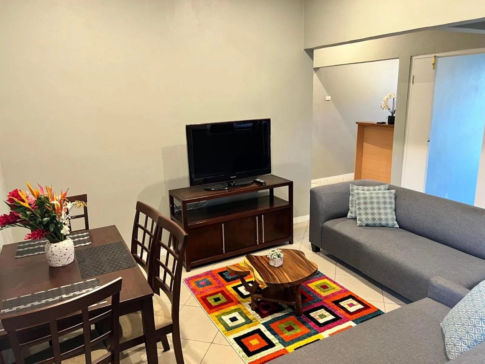 TV and multimedia in Garden Apartments