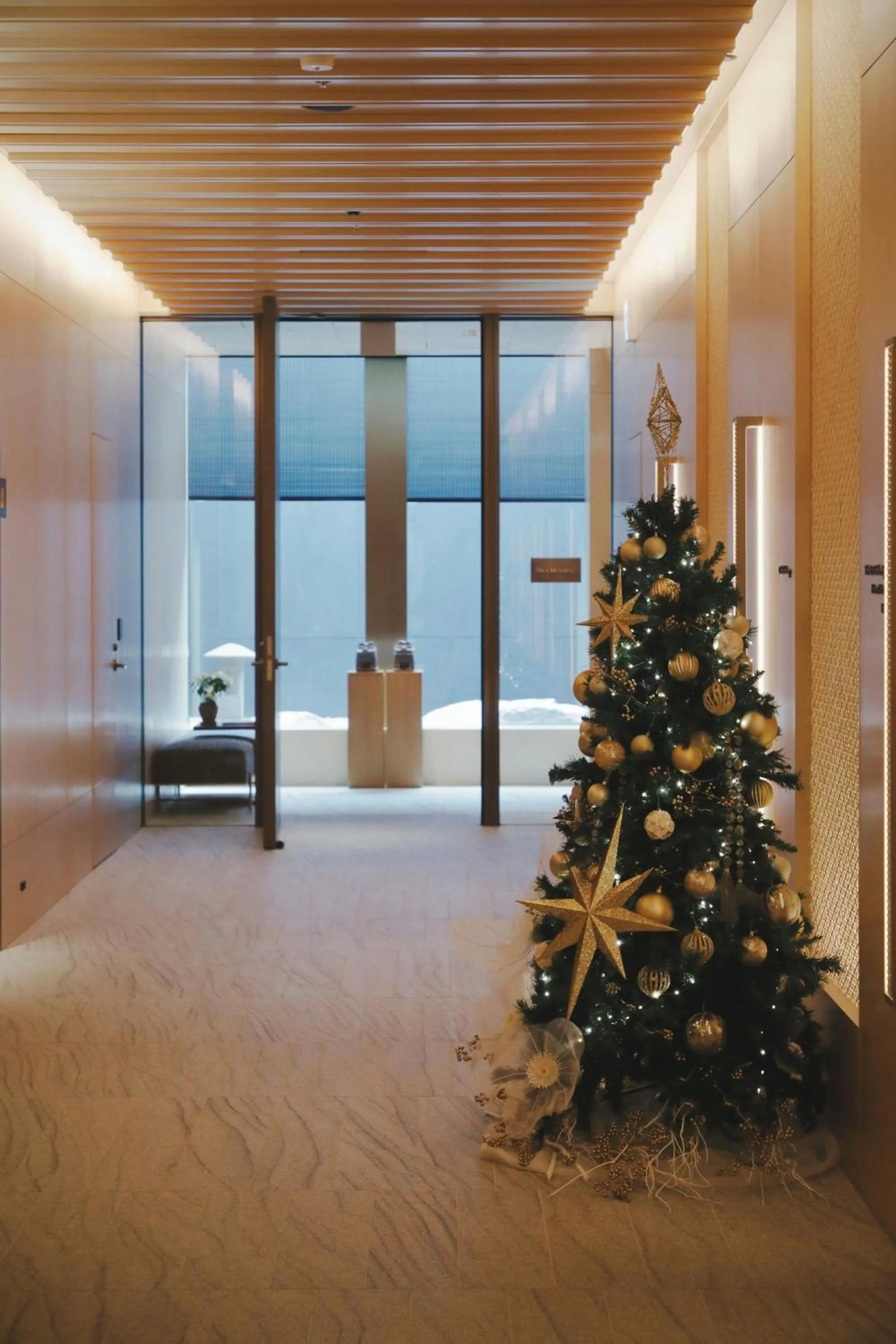 Other in The Ritz-Carlton Fukuoka