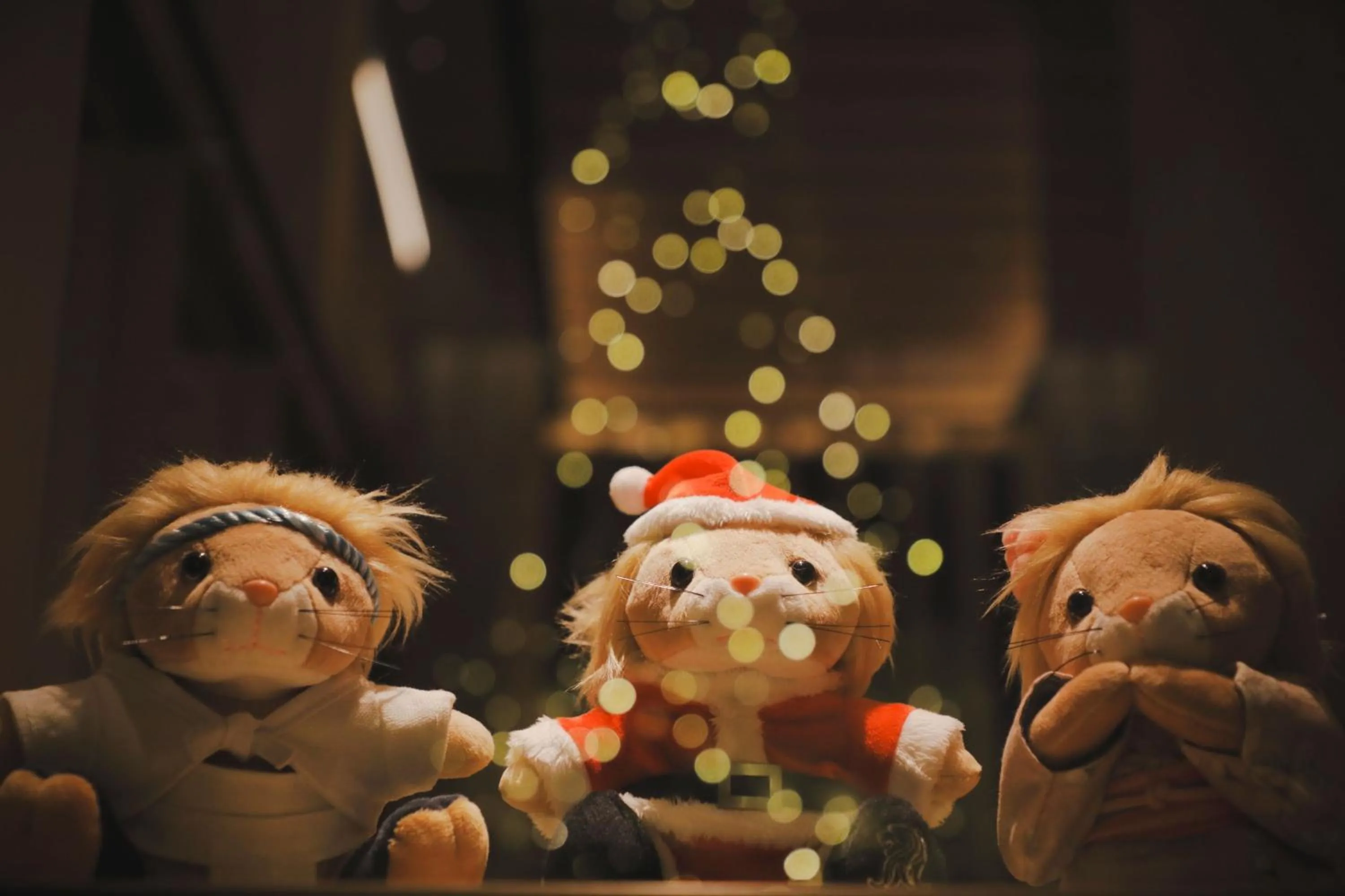 Other in The Ritz-Carlton Fukuoka