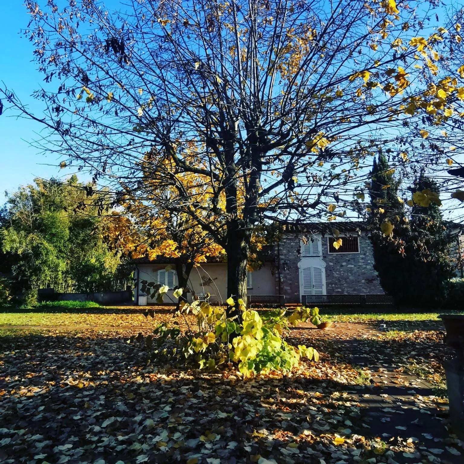 Property Building in Villa Marinsky Pietrasanta