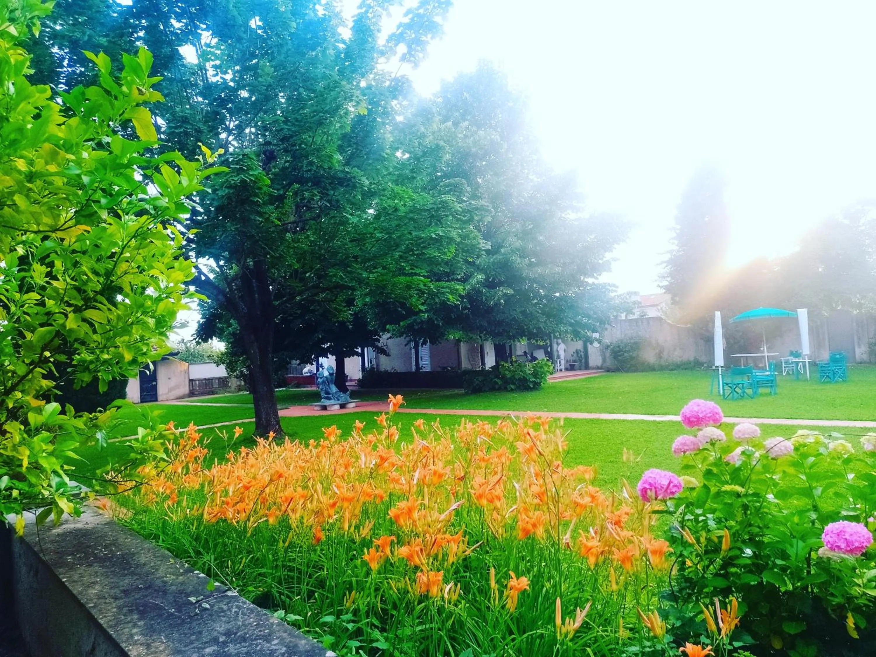 Garden in Villa Marinsky Pietrasanta
