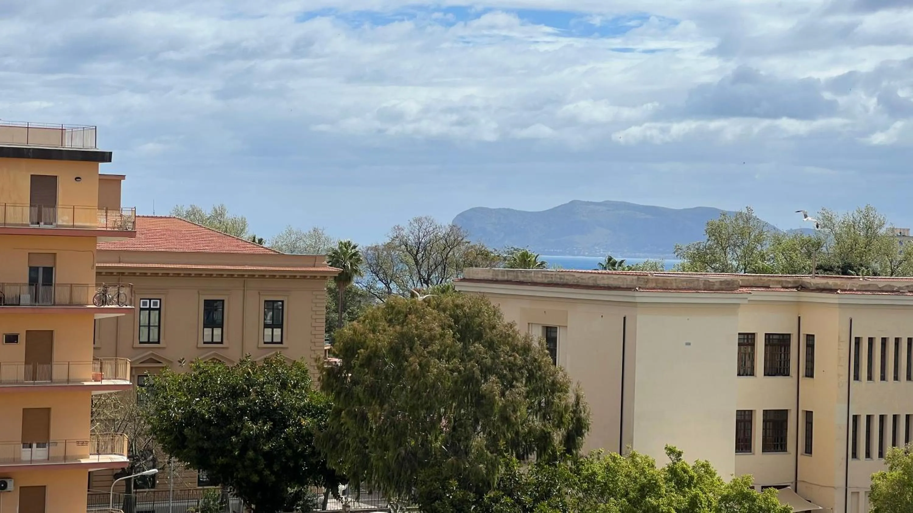 Natural landscape in Large flat near Botanical Garden & Central Station