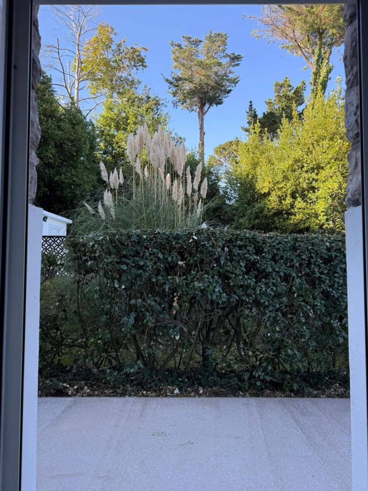 Garden view in Résidence Château d'Acotz - Appartements avec piscine à 300m des Plages & Océan