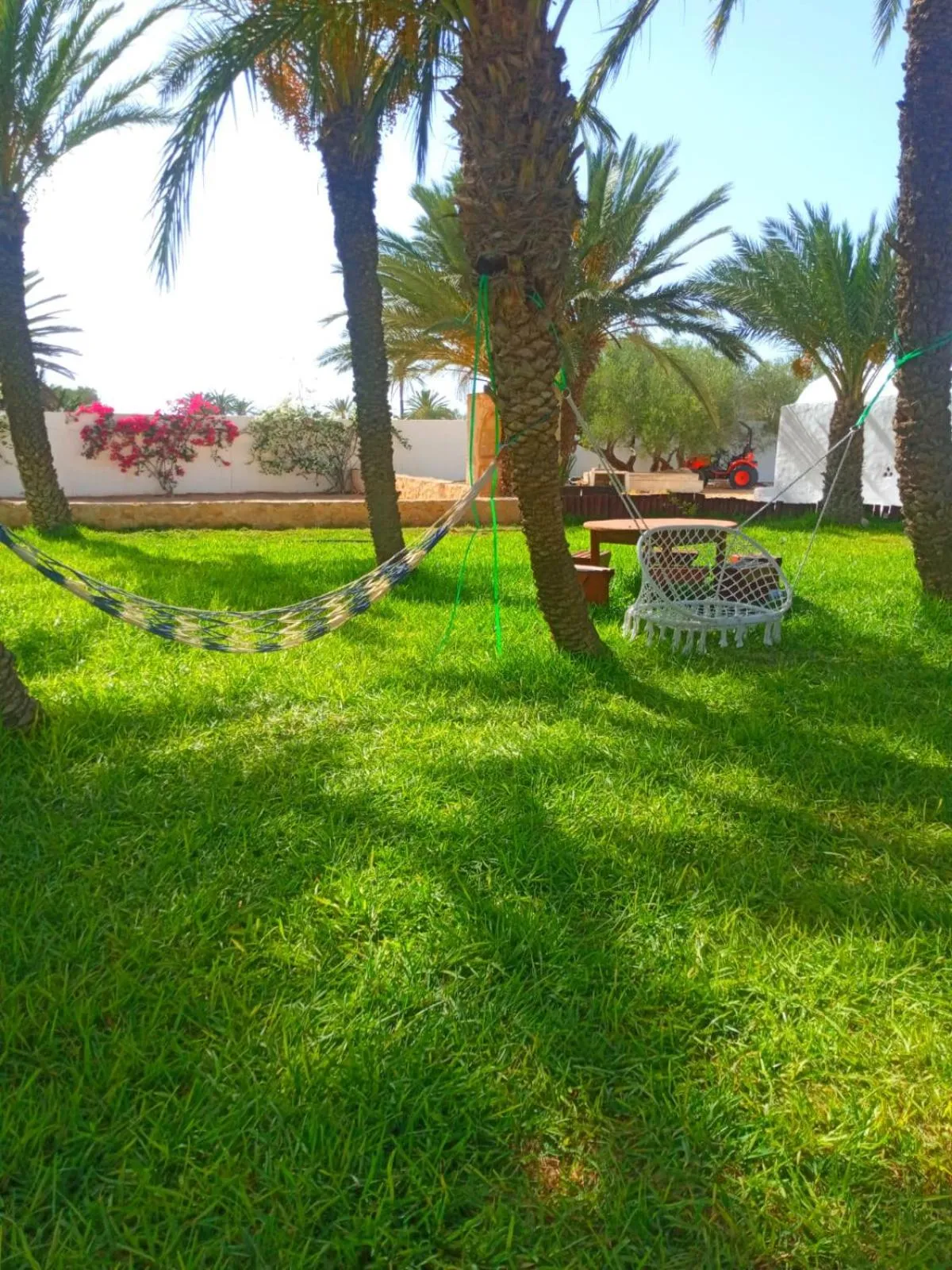 Day in Le Patio de Mezraya