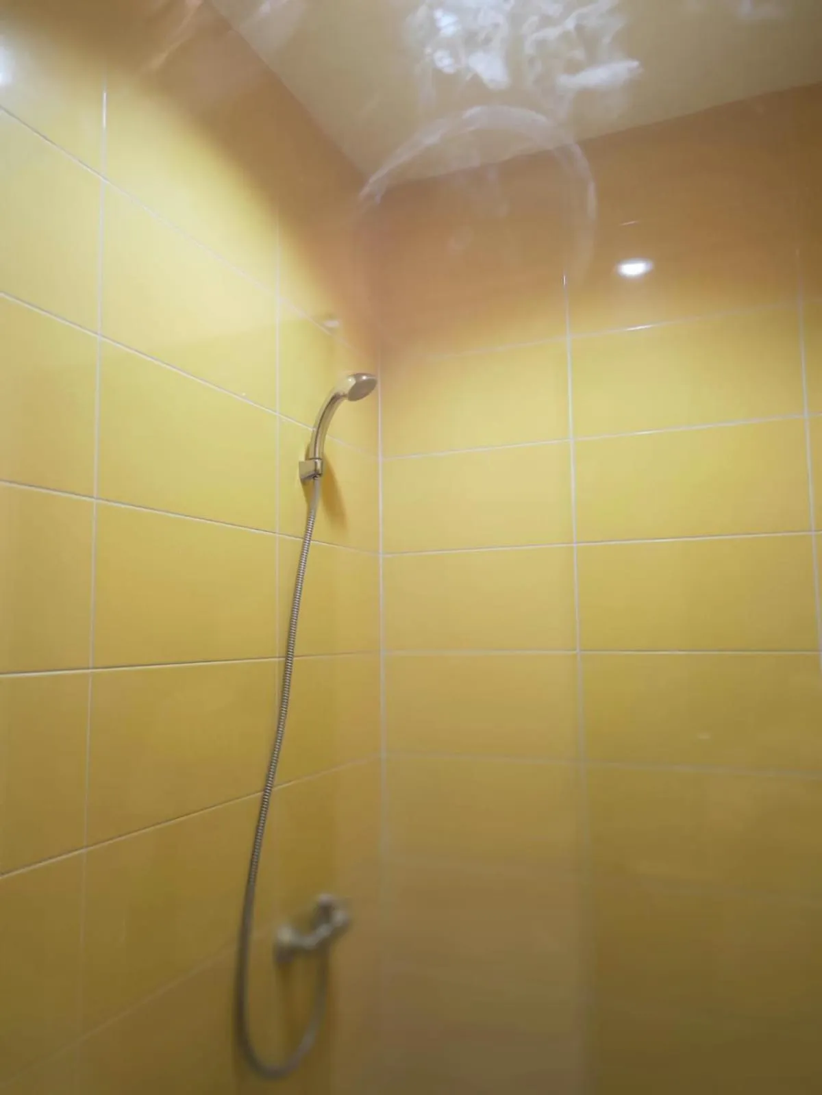 Shower in The Holiday Guest House