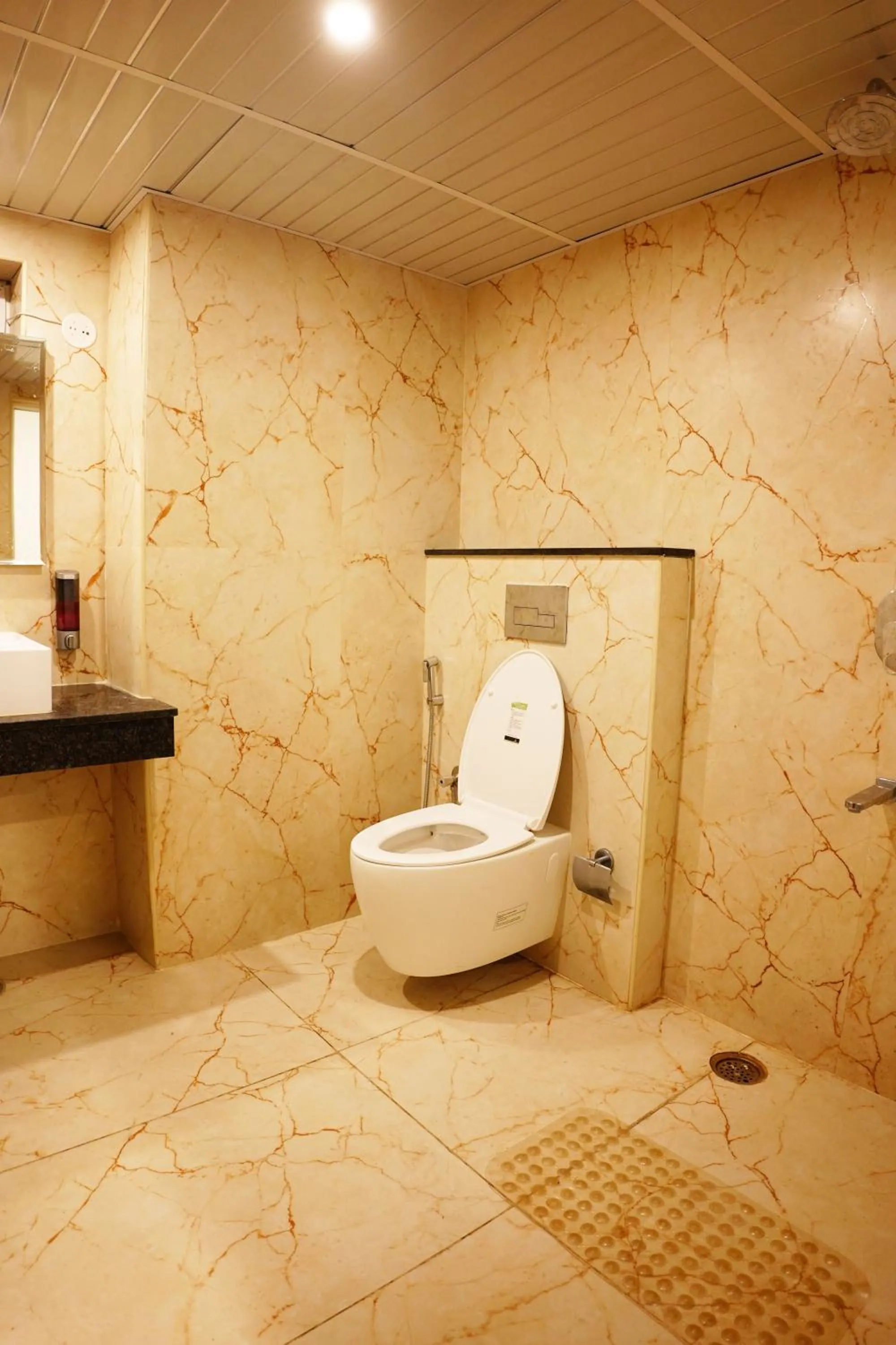 Shower in Dream Hotel - Richmond