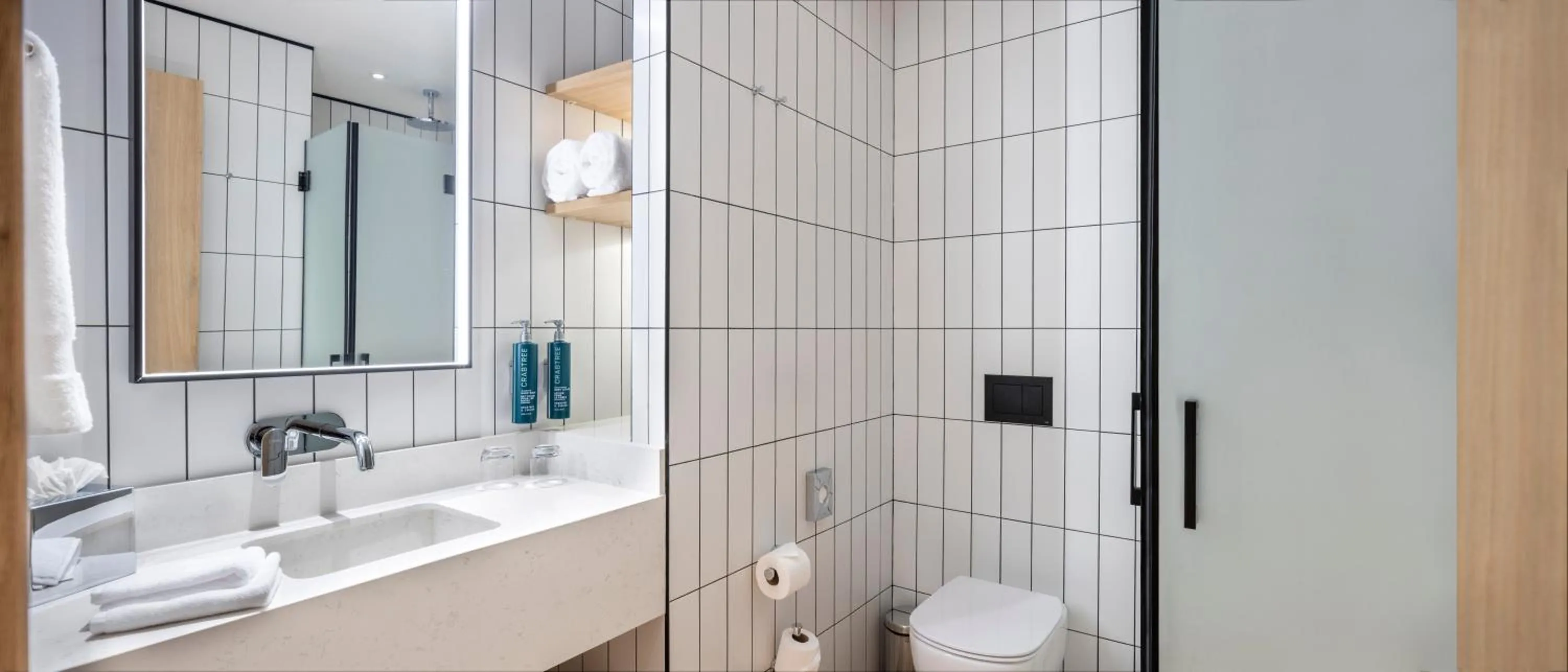 Toilet in Hilton Garden Inn Tbilisi Riverview