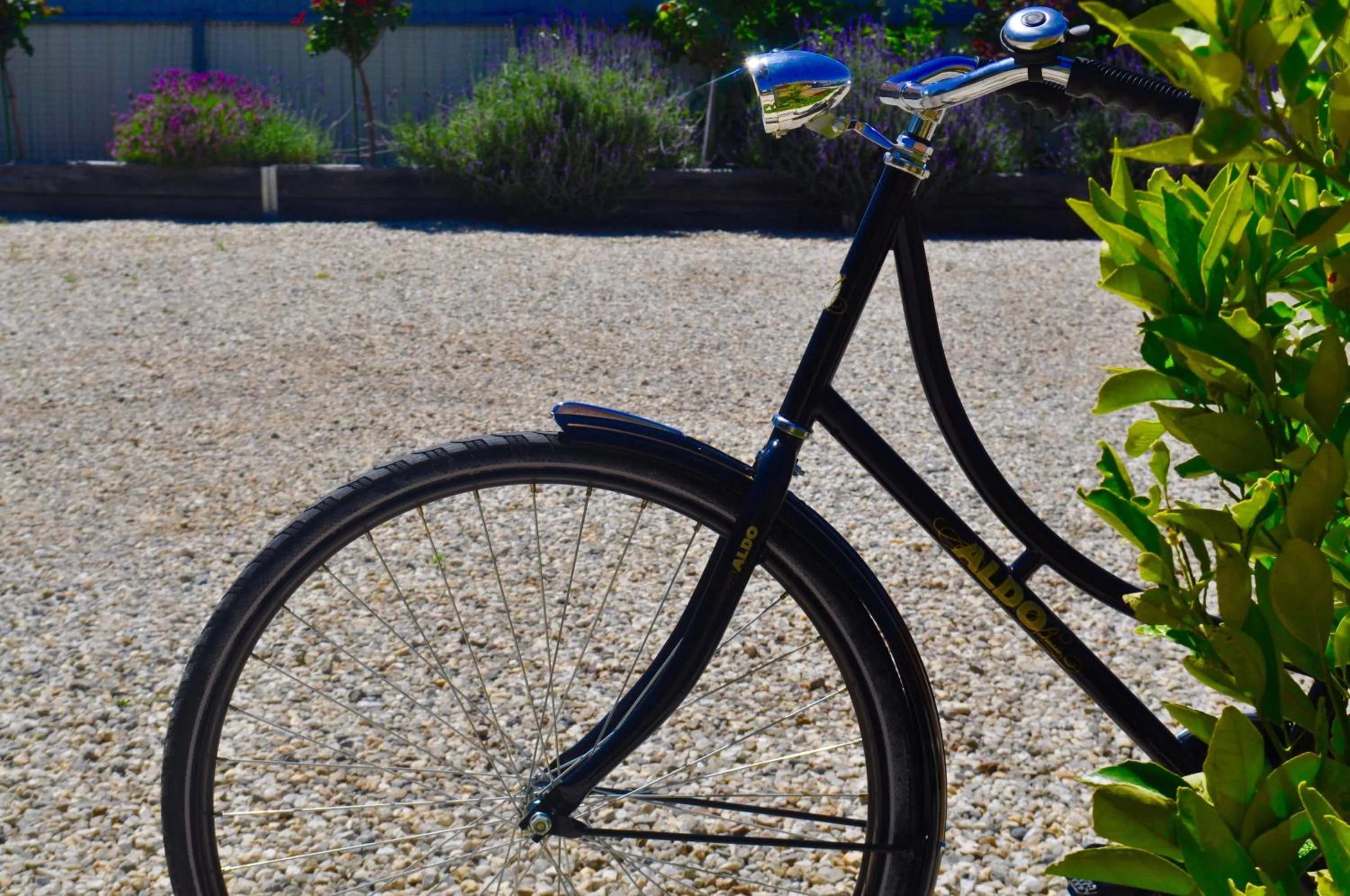 Cycling in CIRCA 1936 Art Hotel