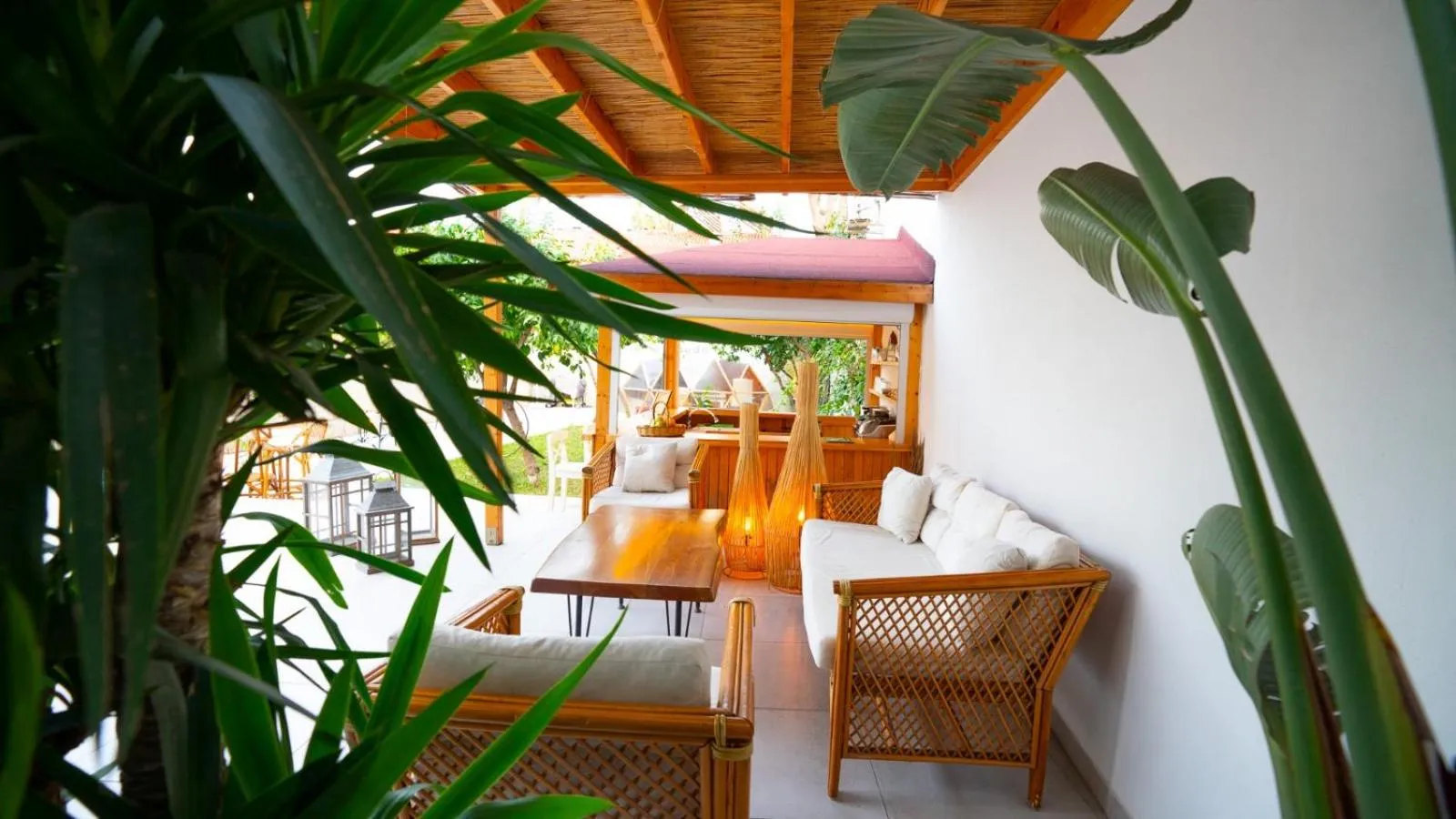 Garden in Audo Studio