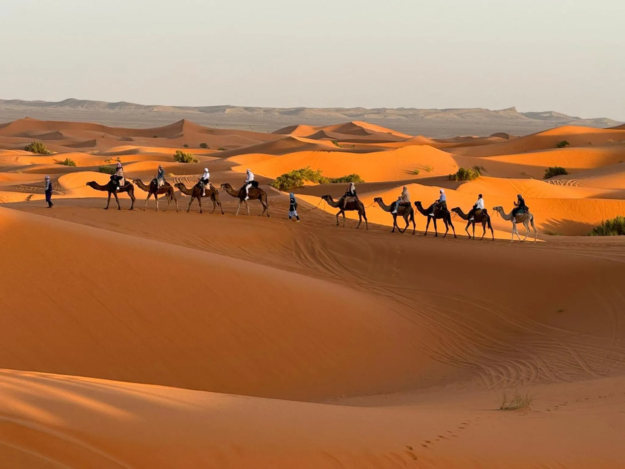Nearby landmark in Horaz desert Camp