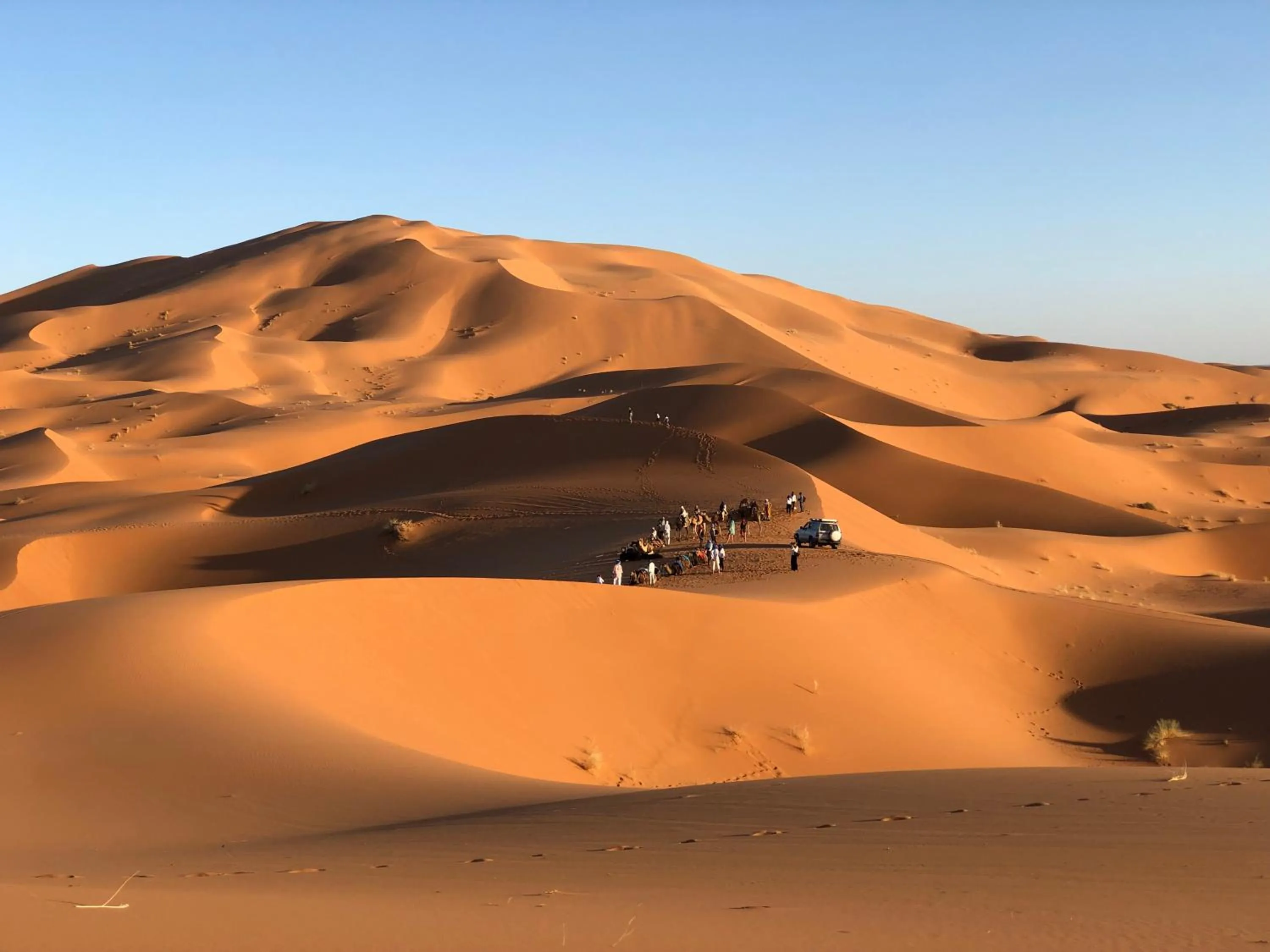 Day in Horaz desert Camp