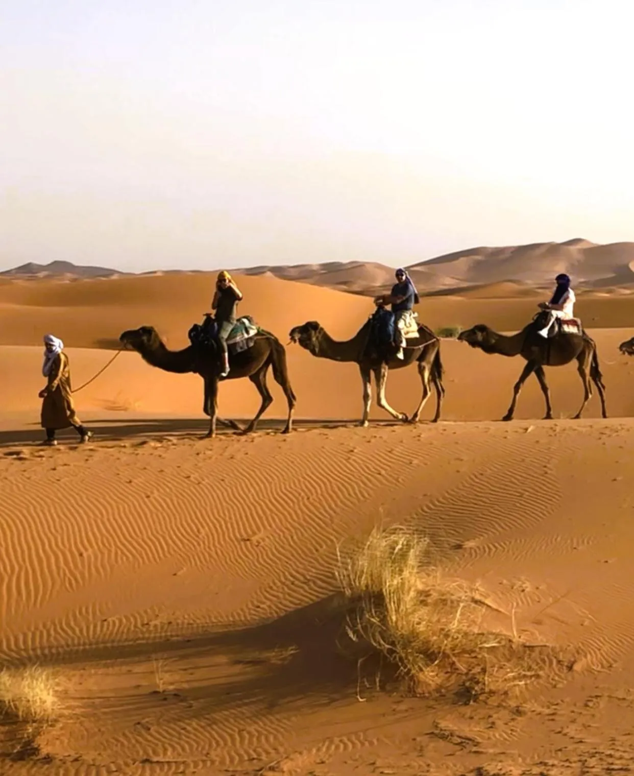 People in Horaz desert Camp