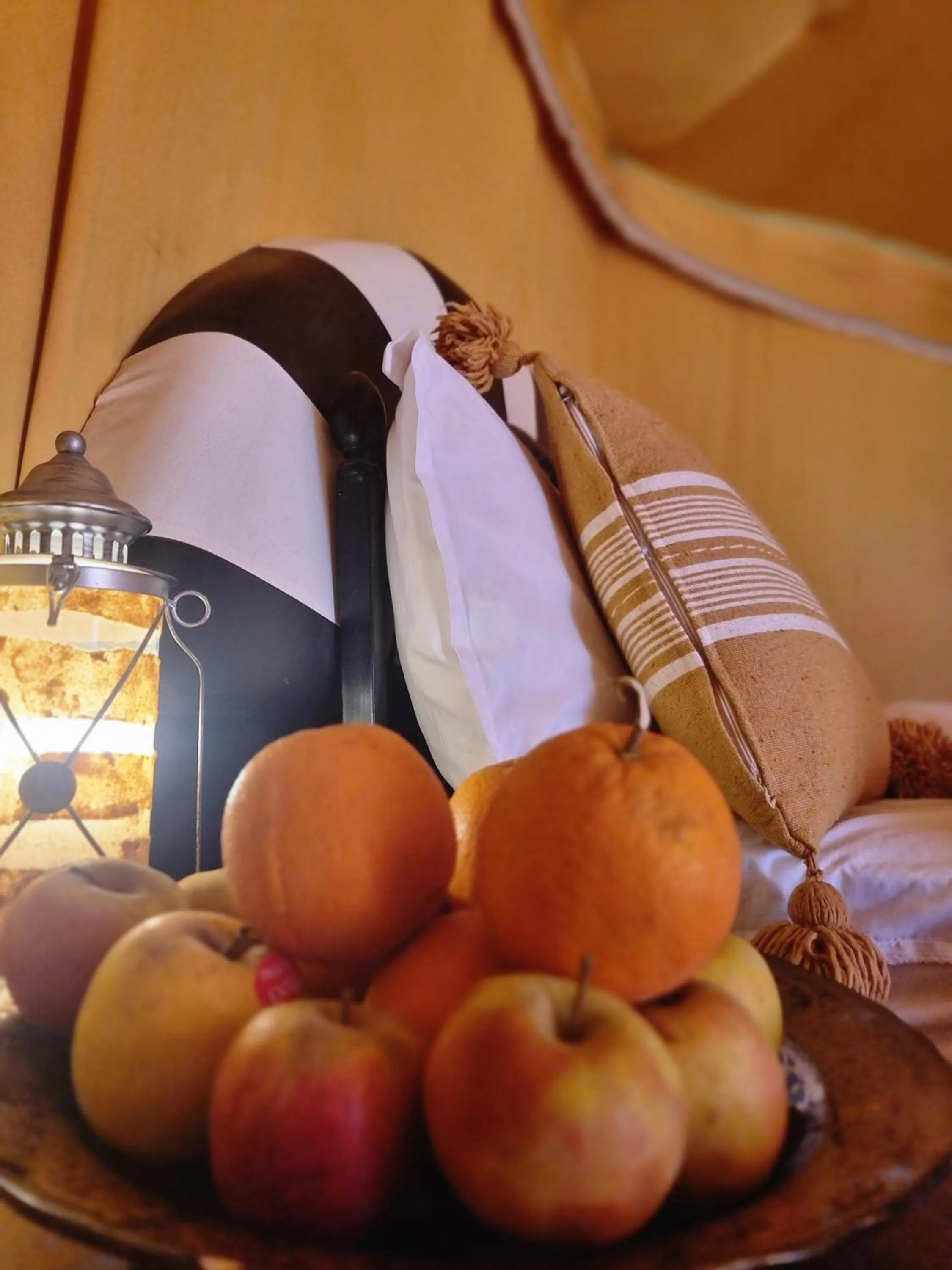 Food and drinks in Horaz desert Camp
