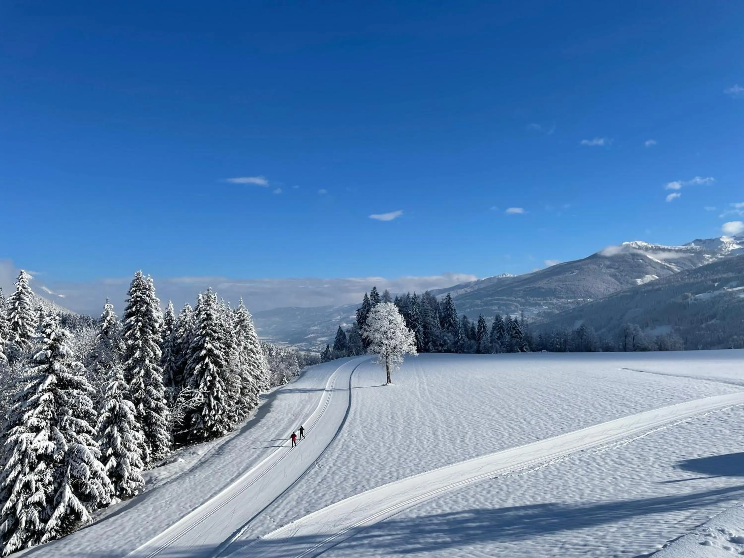 Natural landscape in Burglehnerhof