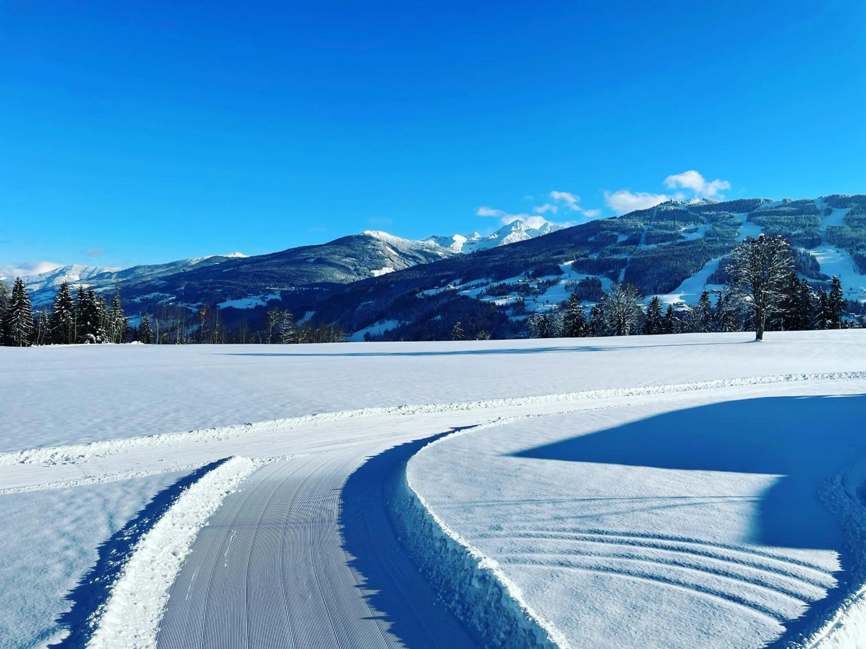 Natural landscape in Burglehnerhof
