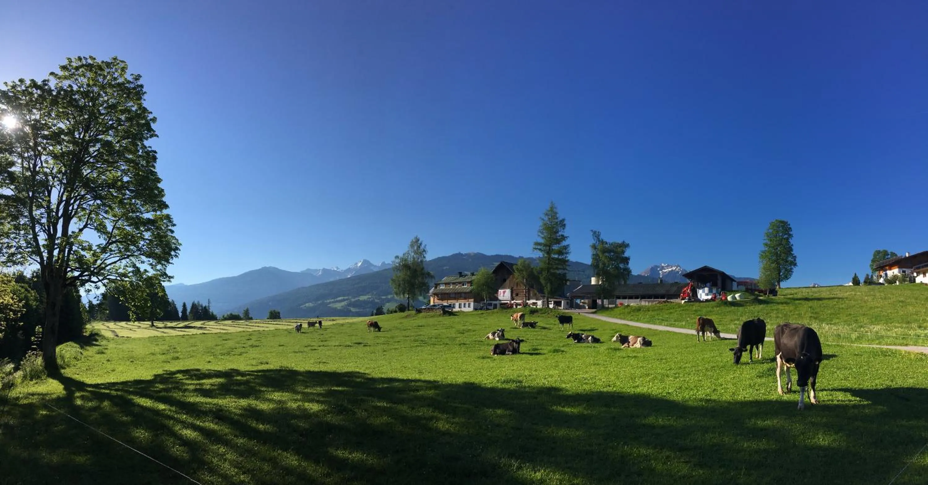 Natural landscape in Burglehnerhof