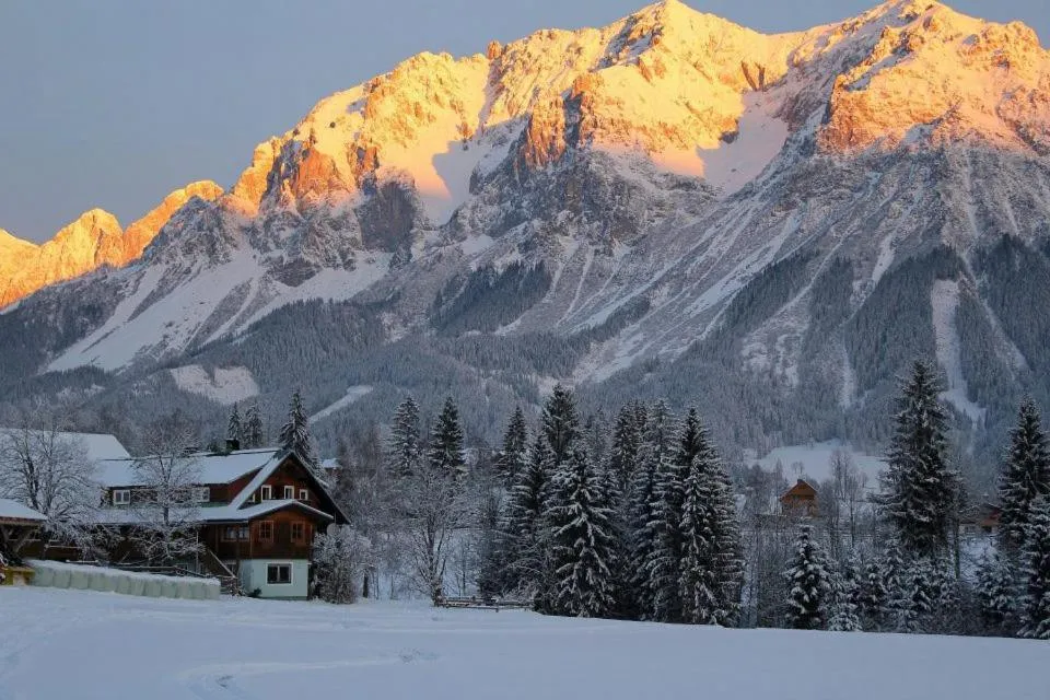Natural landscape in Burglehnerhof