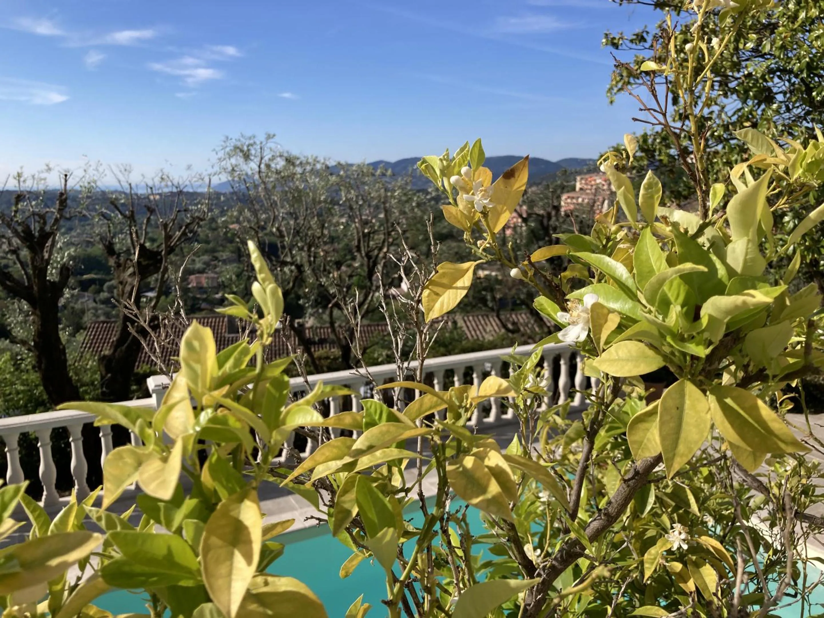 Property building in les petites terrasses