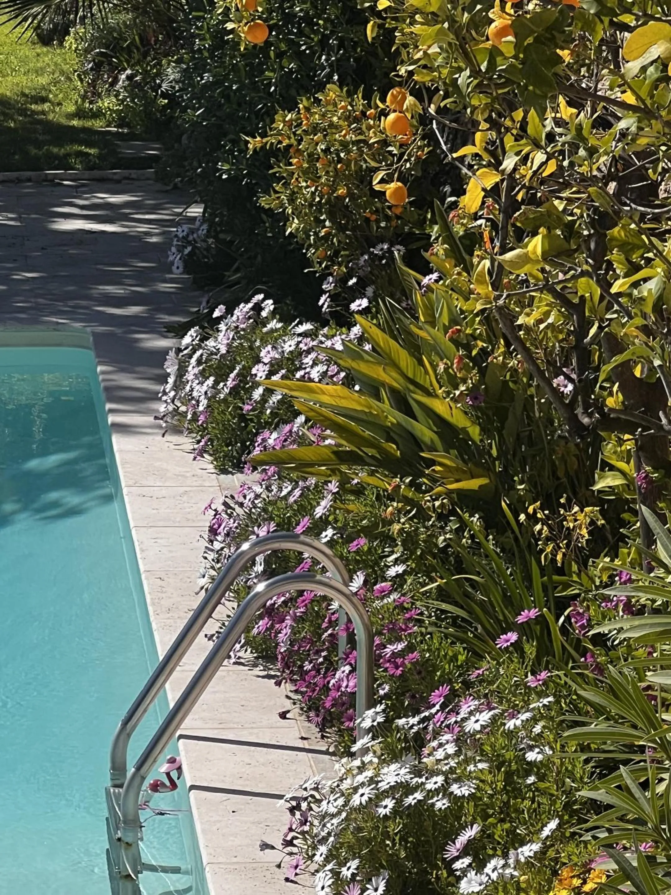 Other in les petites terrasses