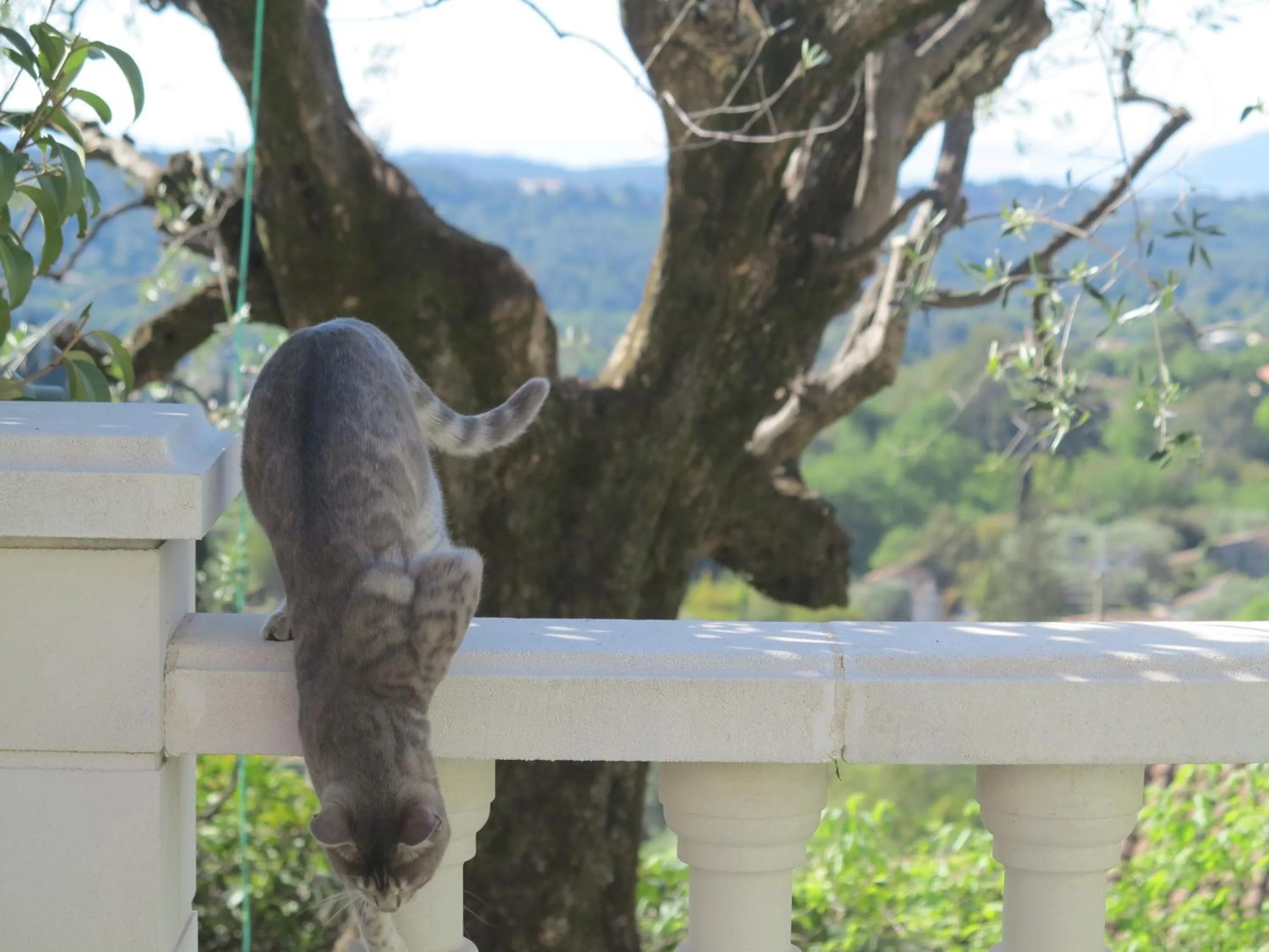 Natural landscape in les petites terrasses