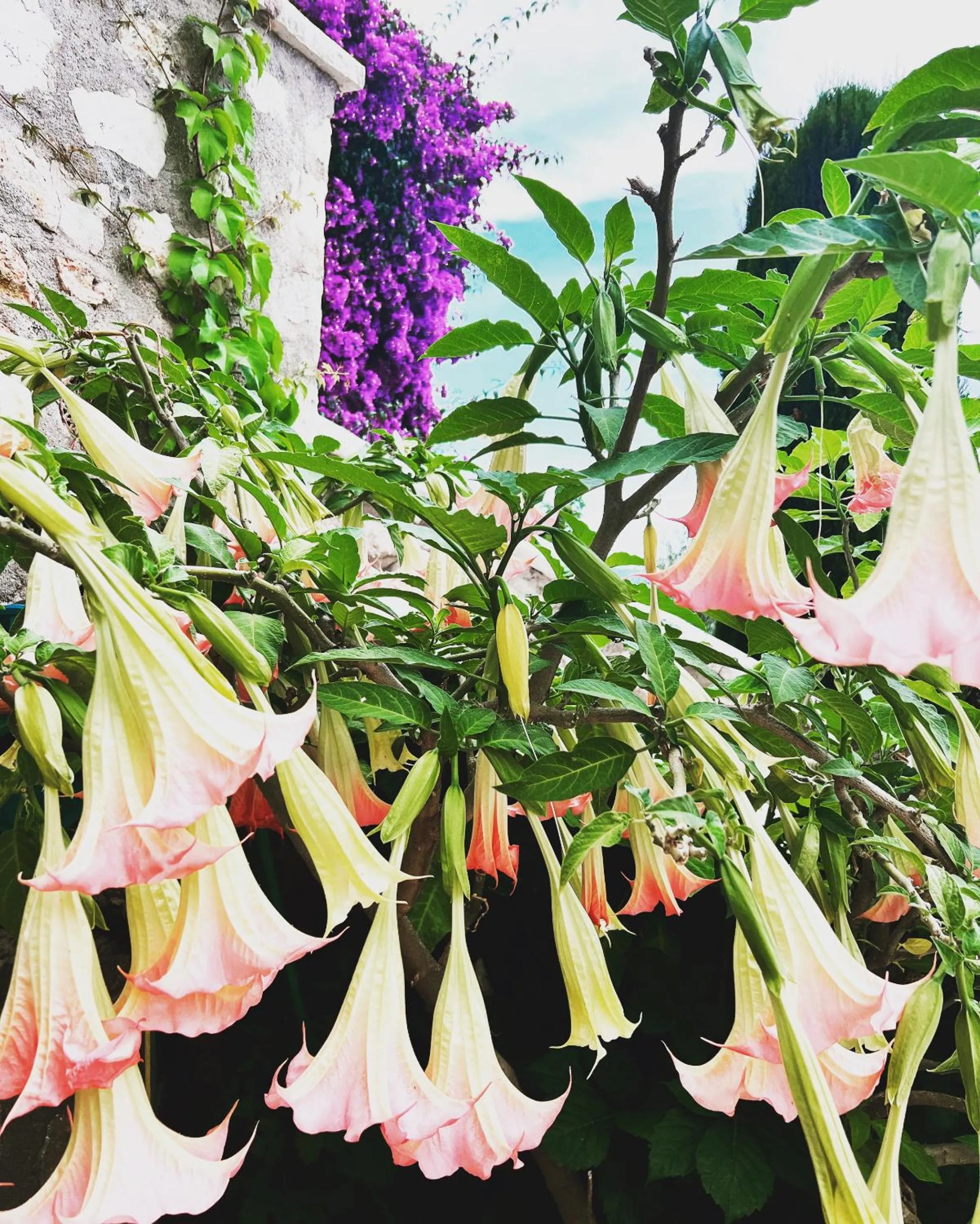 Property building in les petites terrasses