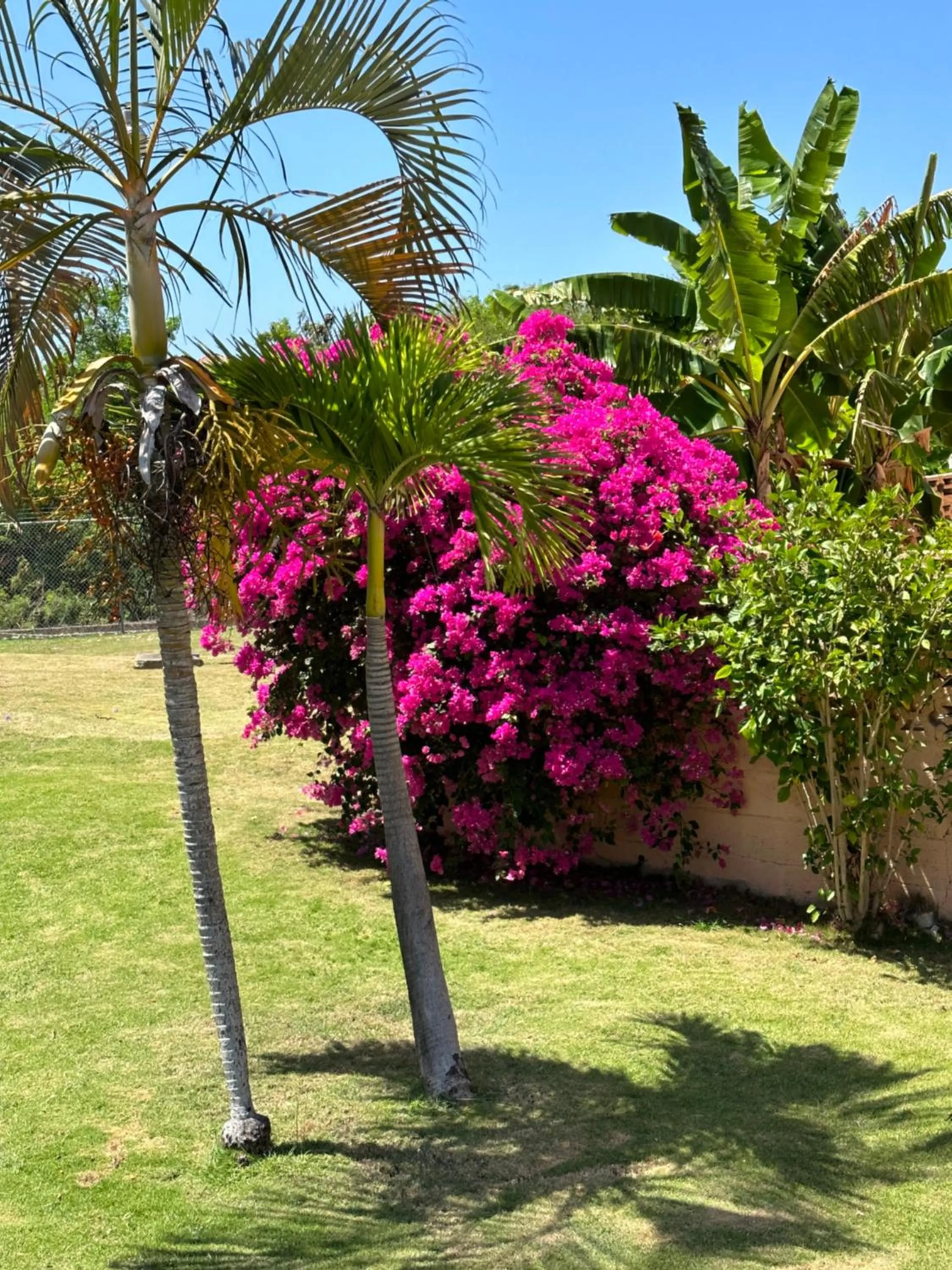 Natural landscape in Sleeps2 - Private Pool - King Bed - AirCon