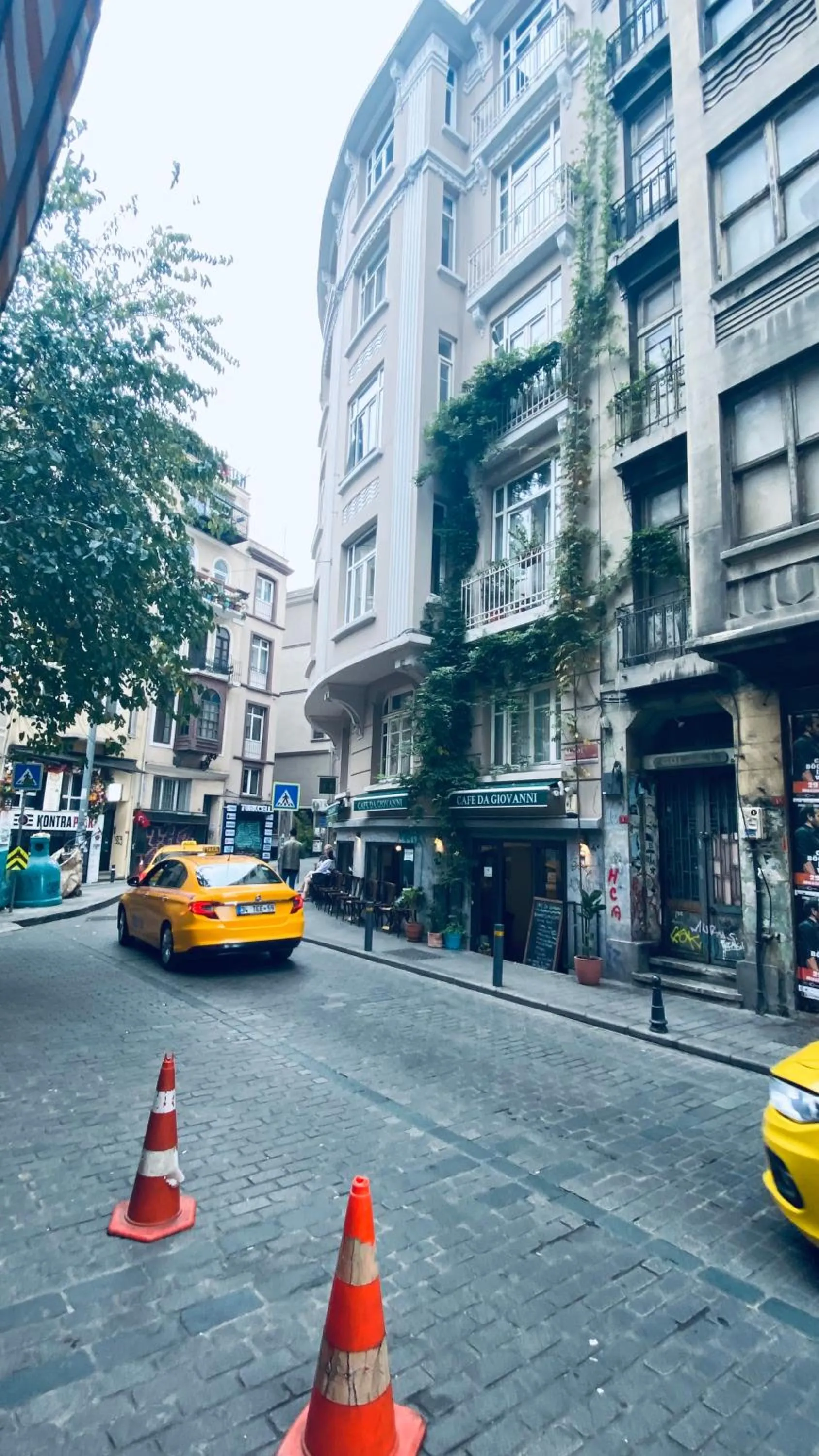 Day in The House Company