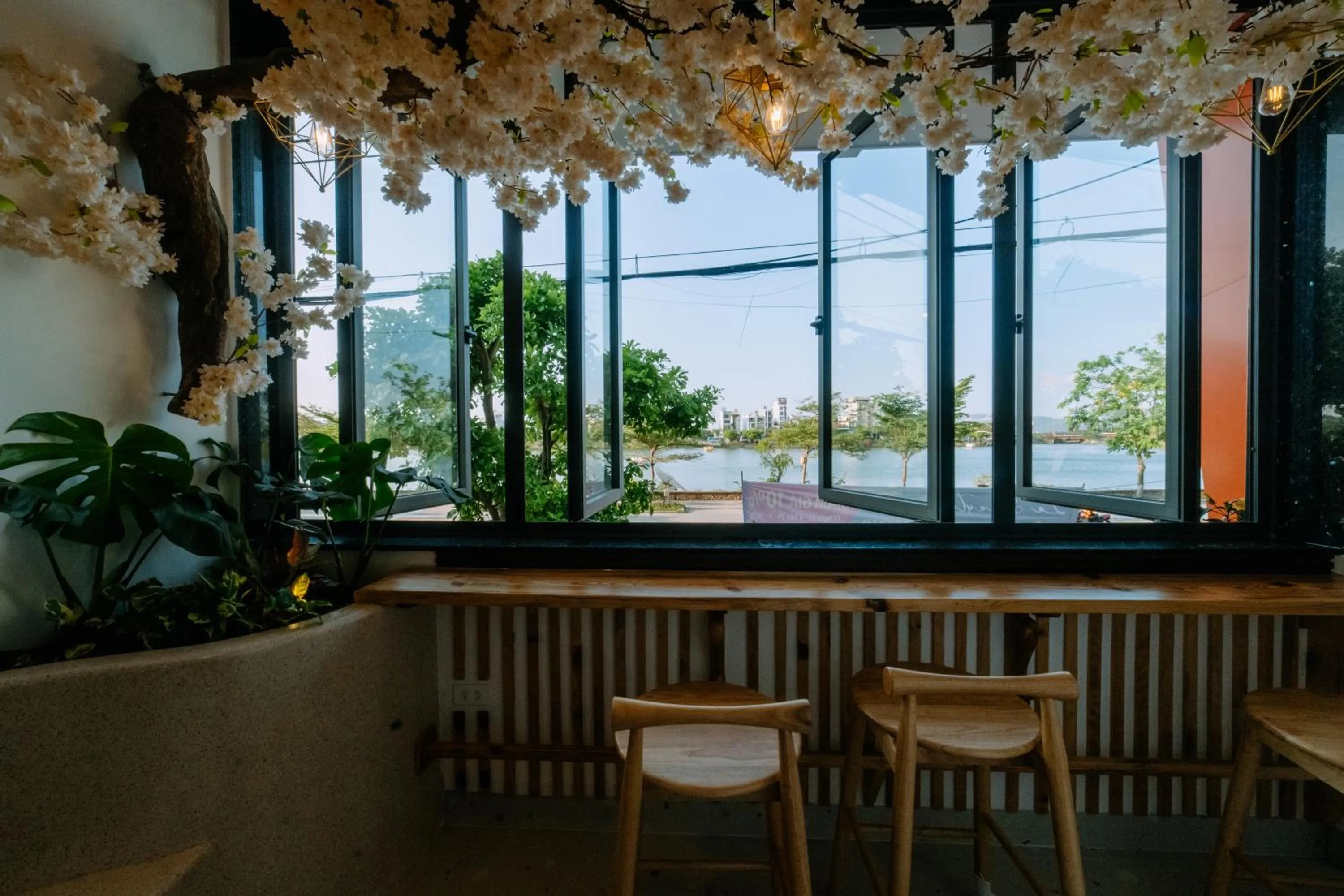 Natural landscape in La Beaute Hotel - Quy Nhơn