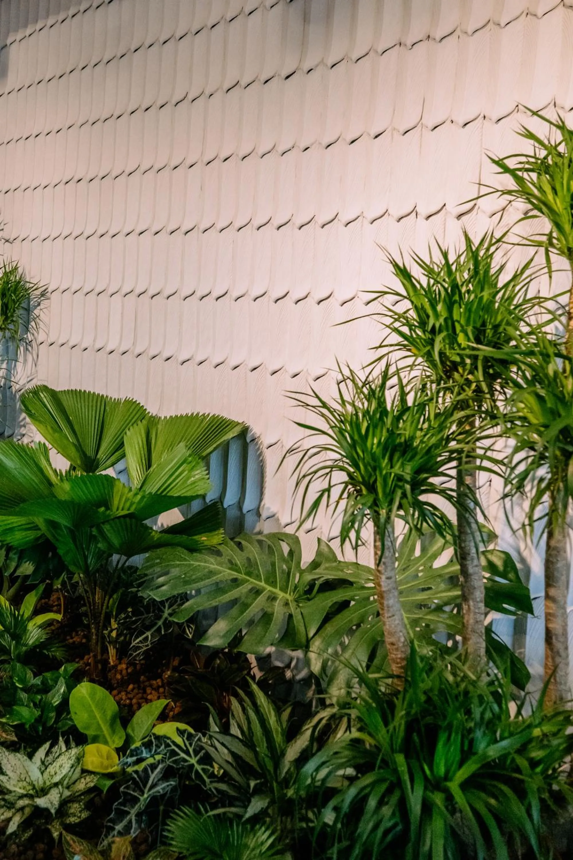 Garden in La Beaute Hotel - Quy Nhơn