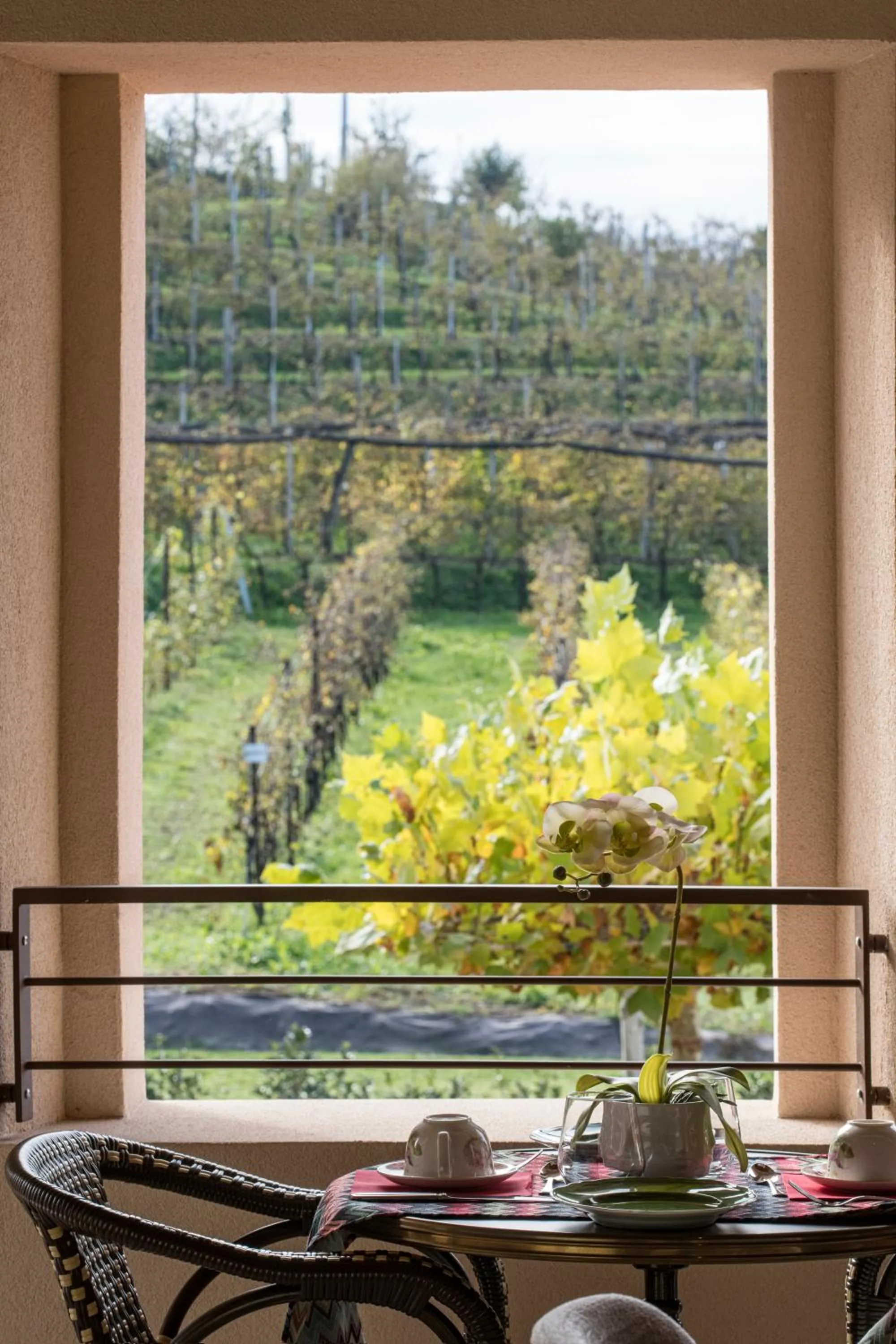 Patio in Casa Valdo Country House
